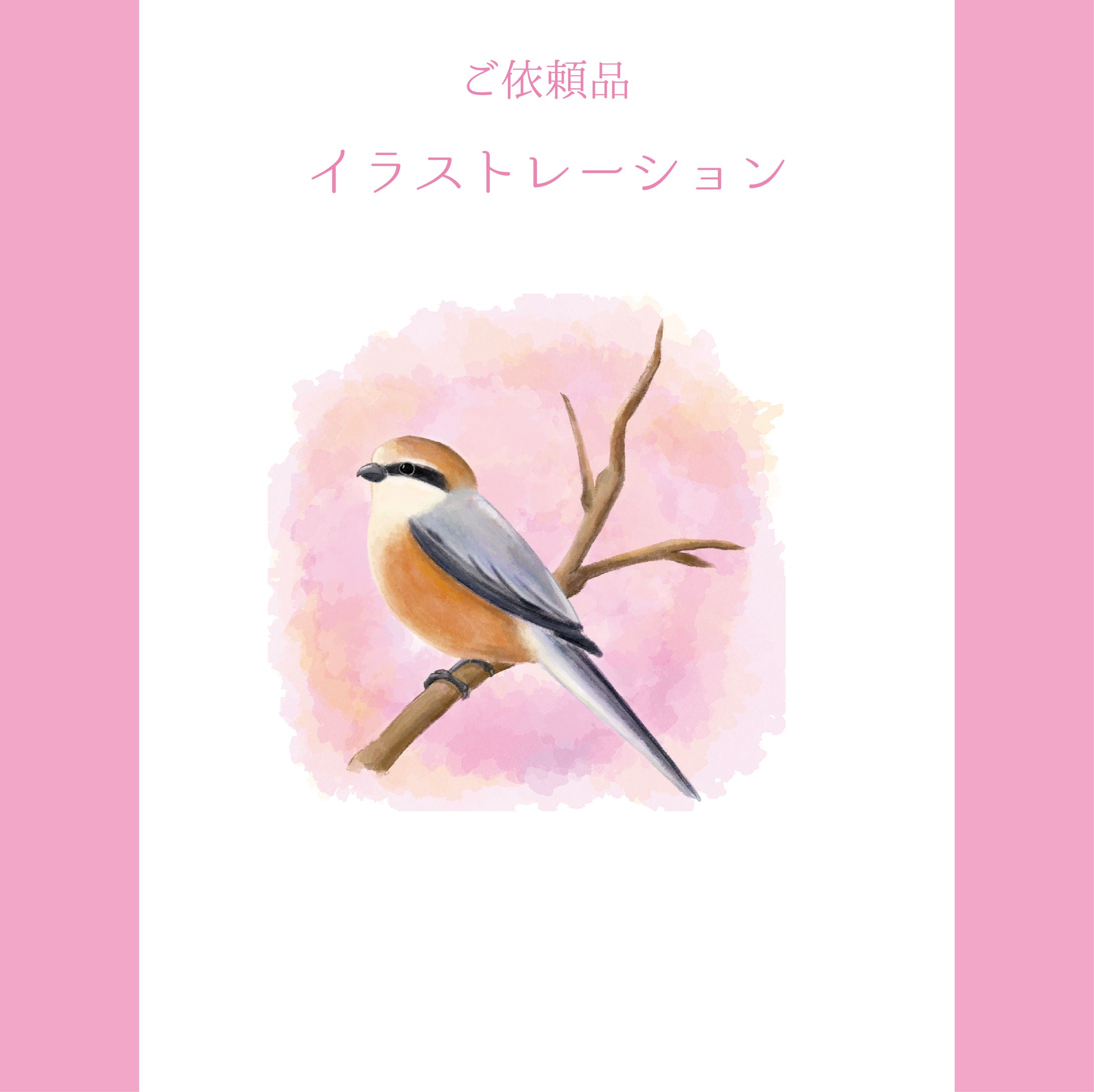 イラストレーション-1