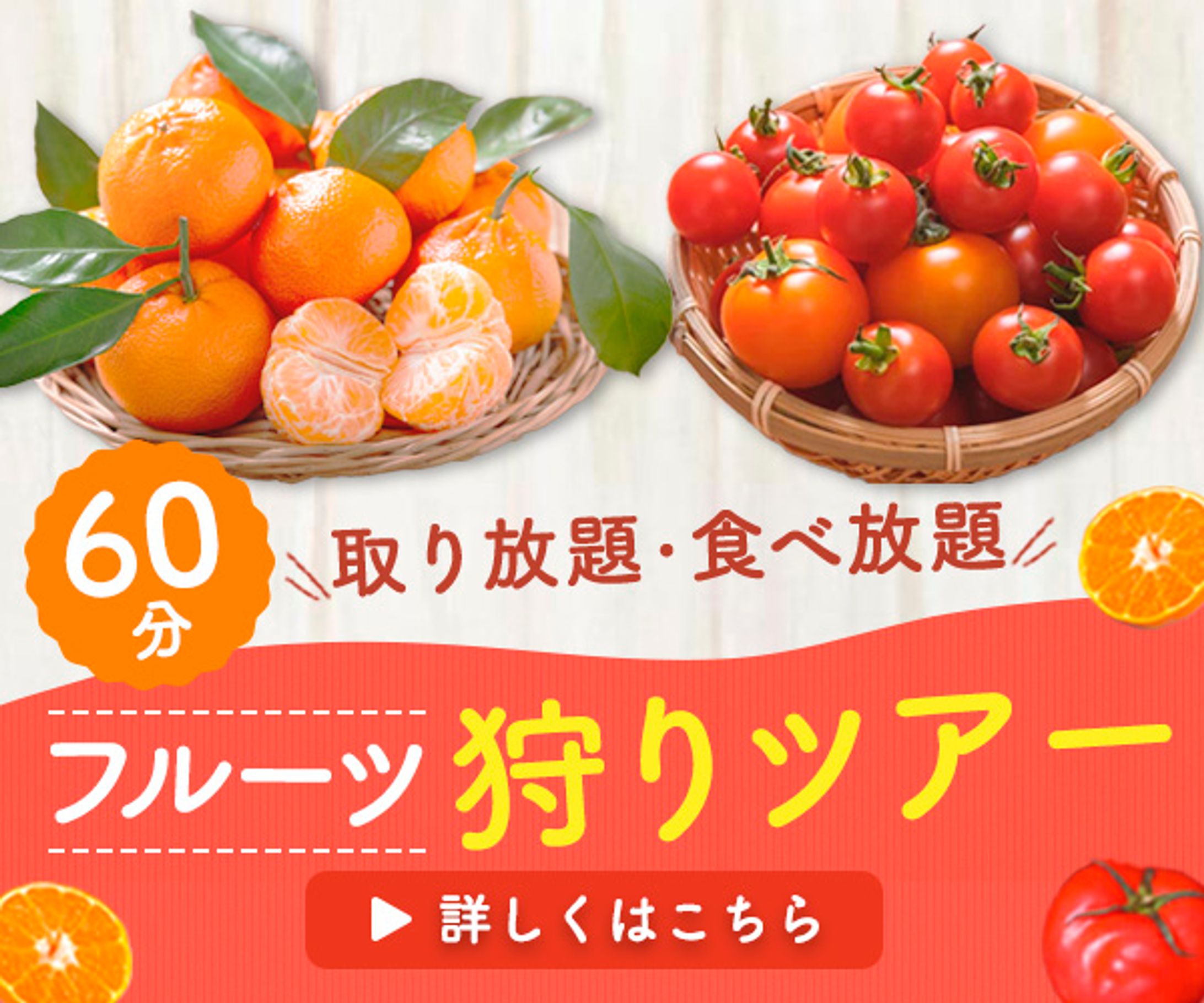 バナー：フルーツ狩りツアー-1