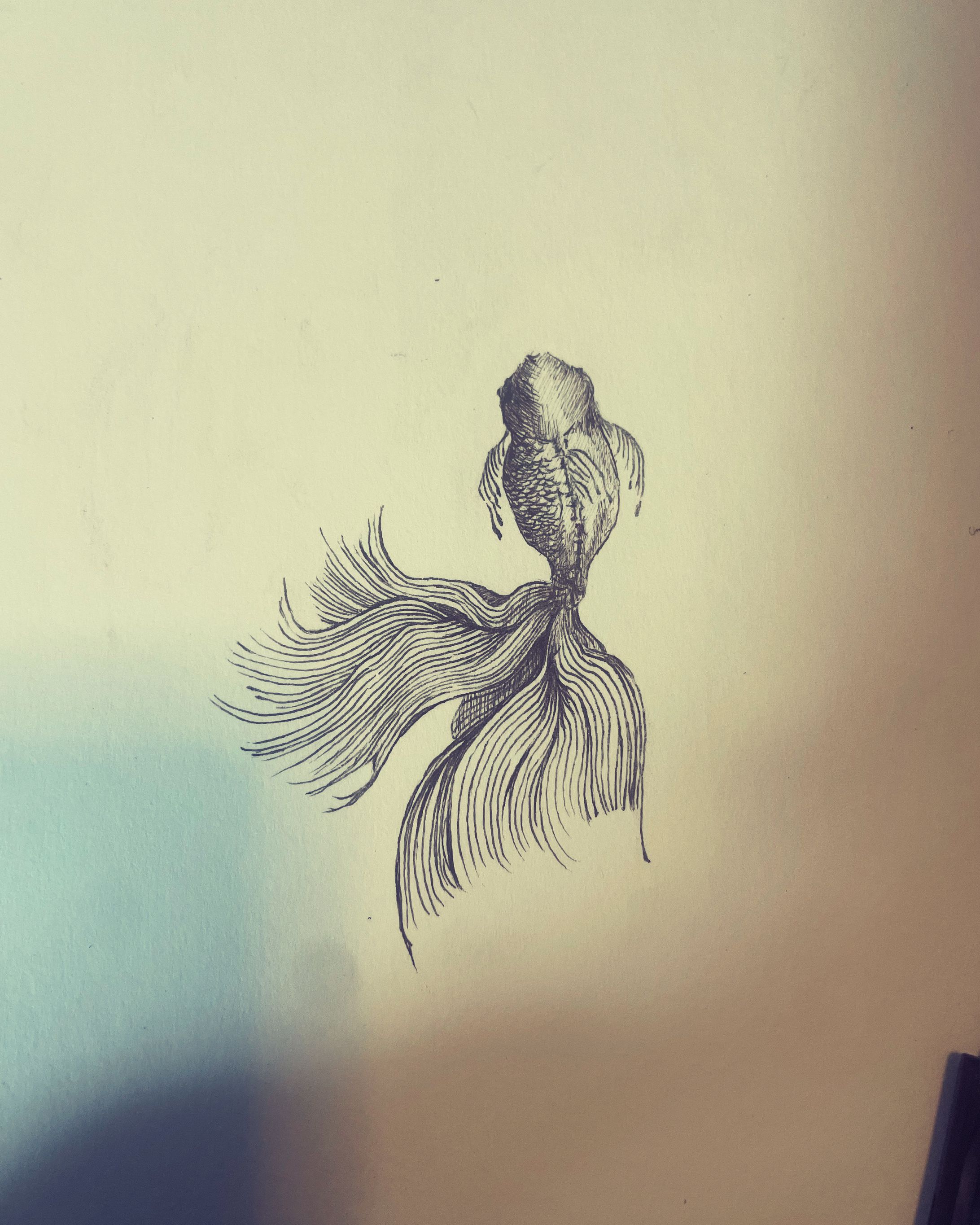 Fun to draw -1