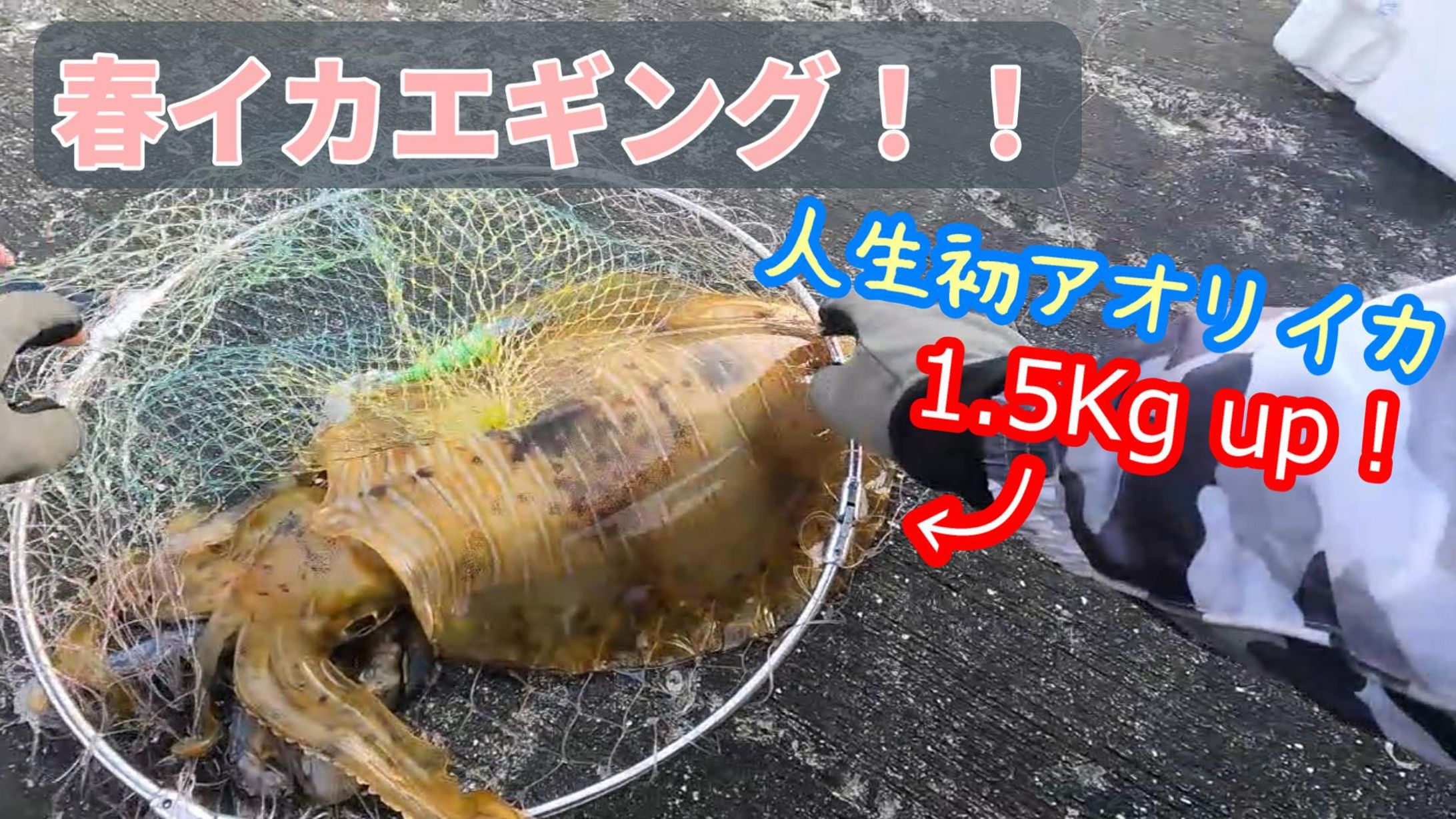 YouTubeサムネイル-1