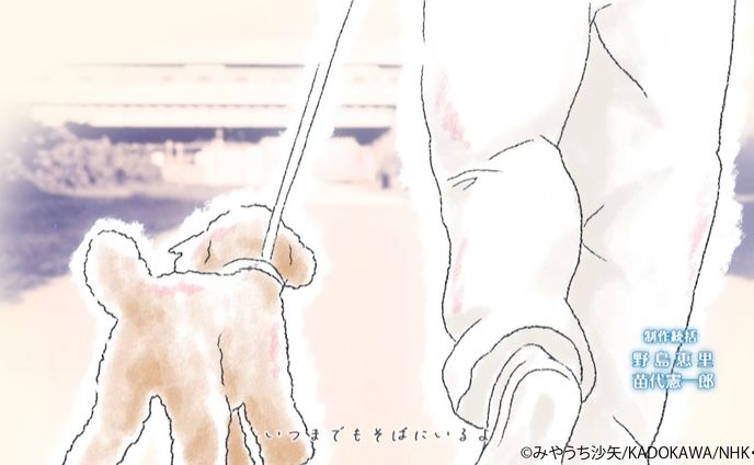 DOGSIGNAL オープニング