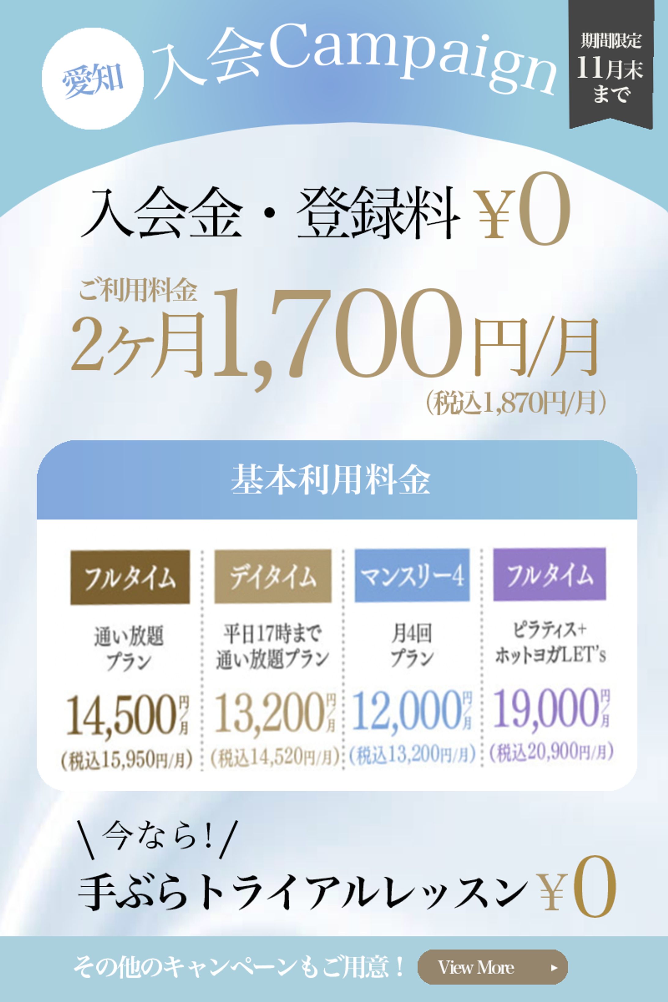 チラシ-1