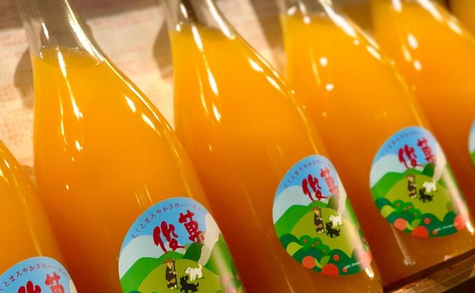 .
【ロシトロカwork🍊】
和歌山のみかんブランド『俊菓』の〈世界遺産 高野山〉限定のジュースラベルを担当させていただきました。
( @harumi_farmer )

みかん『俊菓』は「和三盆」に例えられる上品でまろやかな甘味、確かなコクと味を引き締める酸味があわさった逸品です。そんな俊菓を贅沢に絞ったジュースの高野山限定ver.です。

ラベルについて、
弘法大師 空海の伝承をテーマに旅する空海と黒犬 白犬のイラストです。高野山の山脈を描くことで、生産者の皆さまにとっても下津町のみかんの山々を連想して風景をイメージしていただけるようにみかんの果実も含めて描いています。

イラストは高野山に深く関わりのある『福勝寺』の浦 弘晴さんに監修いただきました。( @fukushoji.temple )

普段は高野山でしか販売されておりませんが、今回の【渋谷デザイナーズマーケット】に合わせて特別にお取り扱いさせていただきました🙏🐺🐏✨
.
.
#俊菓 #俊菓みかん #みかん #🍊 #シトラスファーム俊菓 #シトラスファーム #みかんジュース #高野山 #高野山限定 #世界遺産 

 #和歌山 #insta_wakayama #wakayama #和歌山県
 #ロシトロカ #lositoloca #illustration #illustrator #イラスト