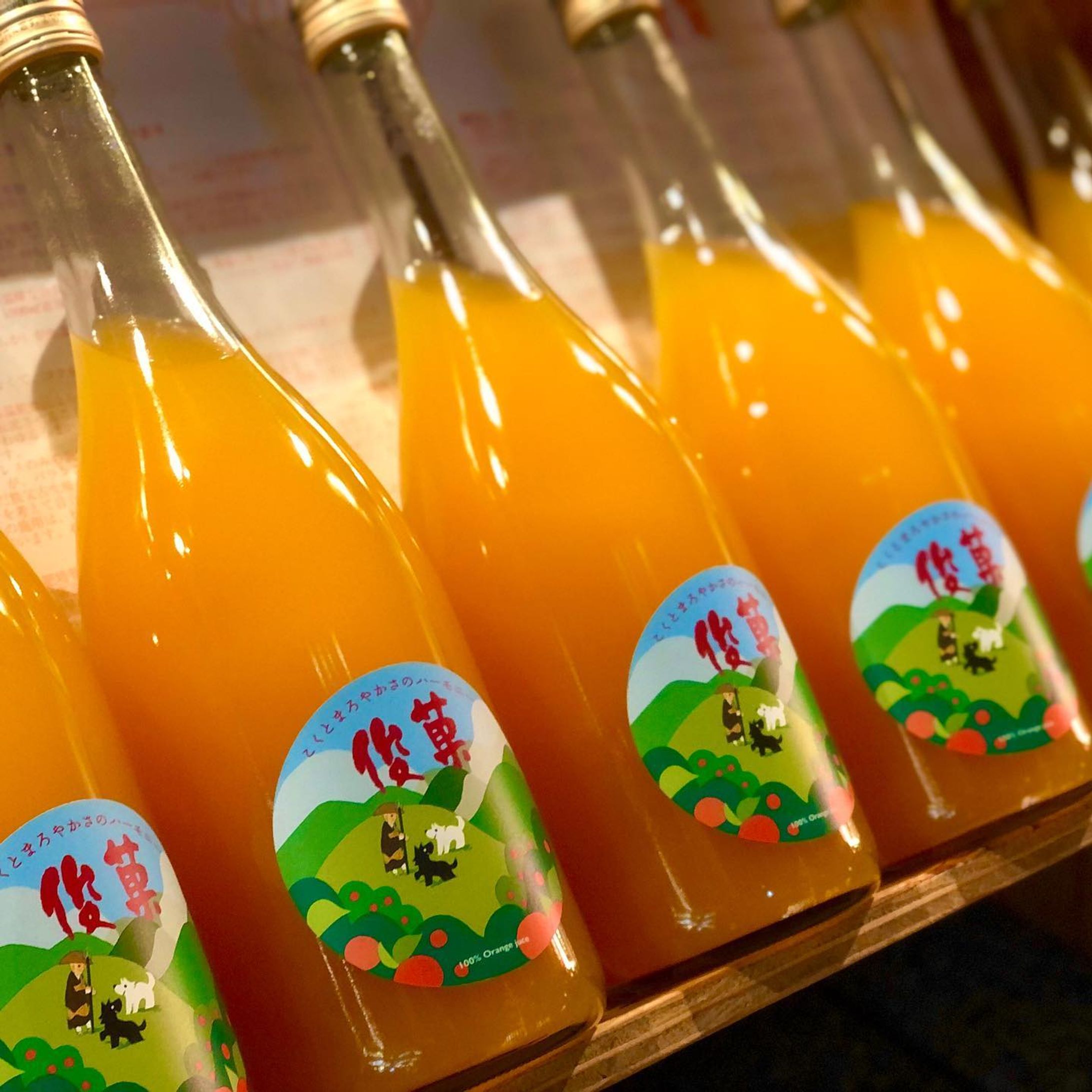 .
【ロシトロカwork🍊】
和歌山のみかんブランド『俊菓』の〈世界遺産 高野山〉限定のジュースラベルを担当させていただきました。
( @harumi_farmer )

みかん『俊菓』は「和三盆」に例えられる上品でまろやかな甘味、確かなコクと味を引き締める酸味があわさった逸品です。そんな俊菓を贅沢に絞ったジュースの高野山限定ver.です。

ラベルについて、
弘法大師 空海の伝承をテーマに旅する空海と黒犬 白犬のイラストです。高野山の山脈を描くことで、生産者の皆さまにとっても下津町のみかんの山々を連想して風景をイメージしていただけるようにみかんの果実も含めて描いています。

イラストは高野山に深く関わりのある『福勝寺』の浦 弘晴さんに監修いただきました。( @fukushoji.temple )

普段は高野山でしか販売されておりませんが、今回の【渋谷デザイナーズマーケット】に合わせて特別にお取り扱いさせていただきました🙏🐺🐏✨
.
.
#俊菓 #俊菓みかん #みかん #🍊 #シトラスファーム俊菓 #シトラスファーム #みかんジュース #高野山 #高野山限定 #世界遺産 

 #和歌山 #insta_wakayama #wakayama #和歌山県
 #ロシトロカ #lositoloca #illustration #illustrator #イラスト-1