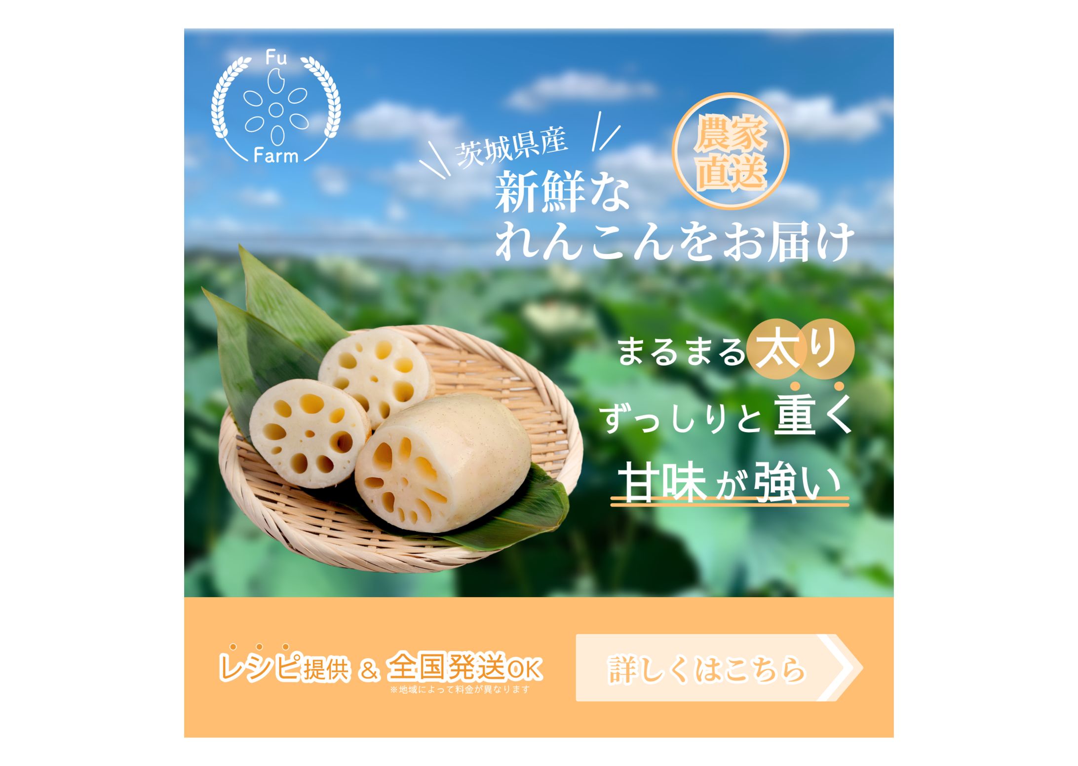 農園（蓮根）_バナー広告-1