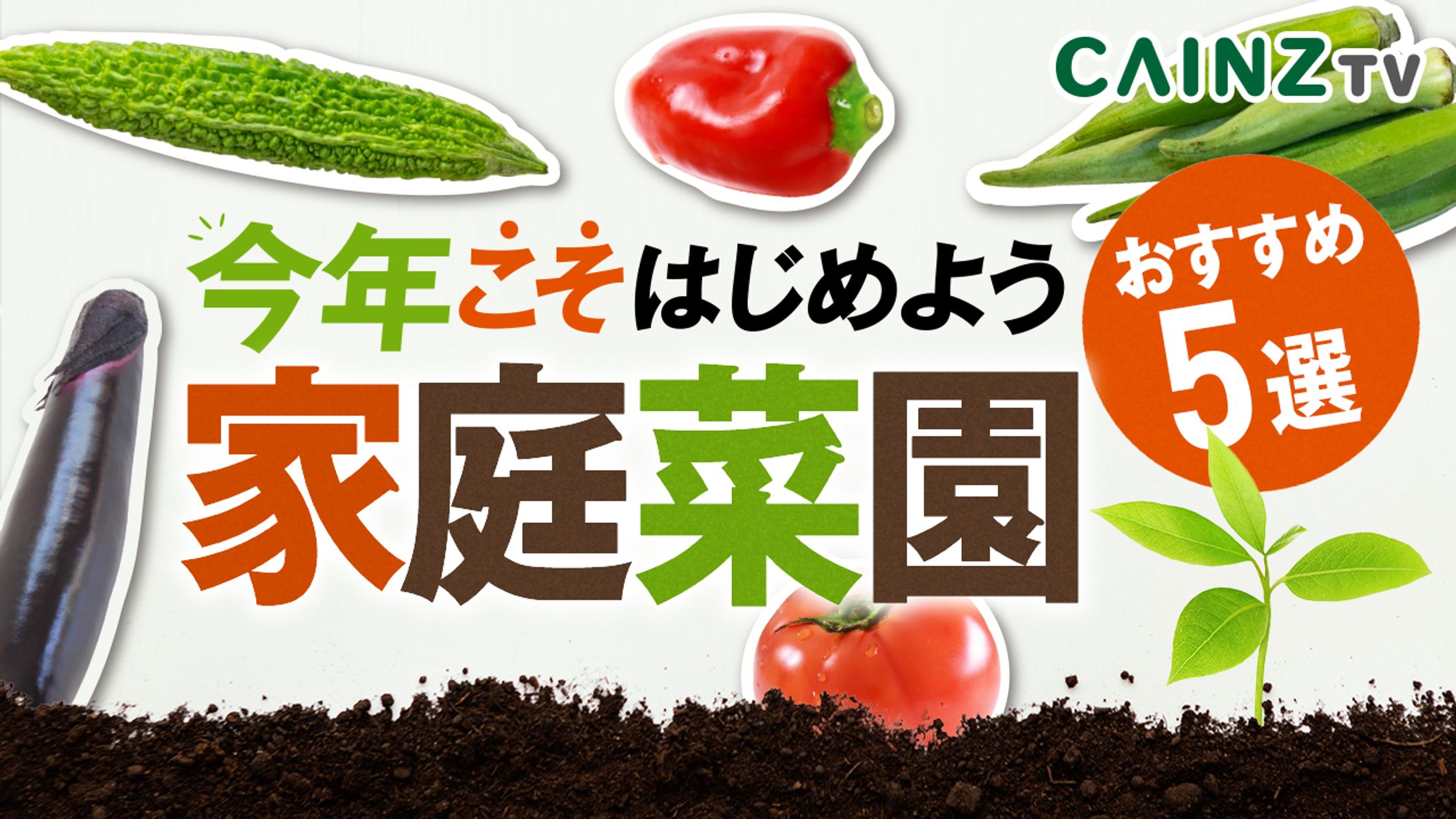 【サムネイル】ホームセンター-1