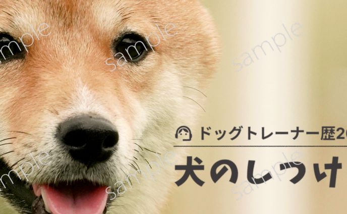 その他sample[ヘッダー]