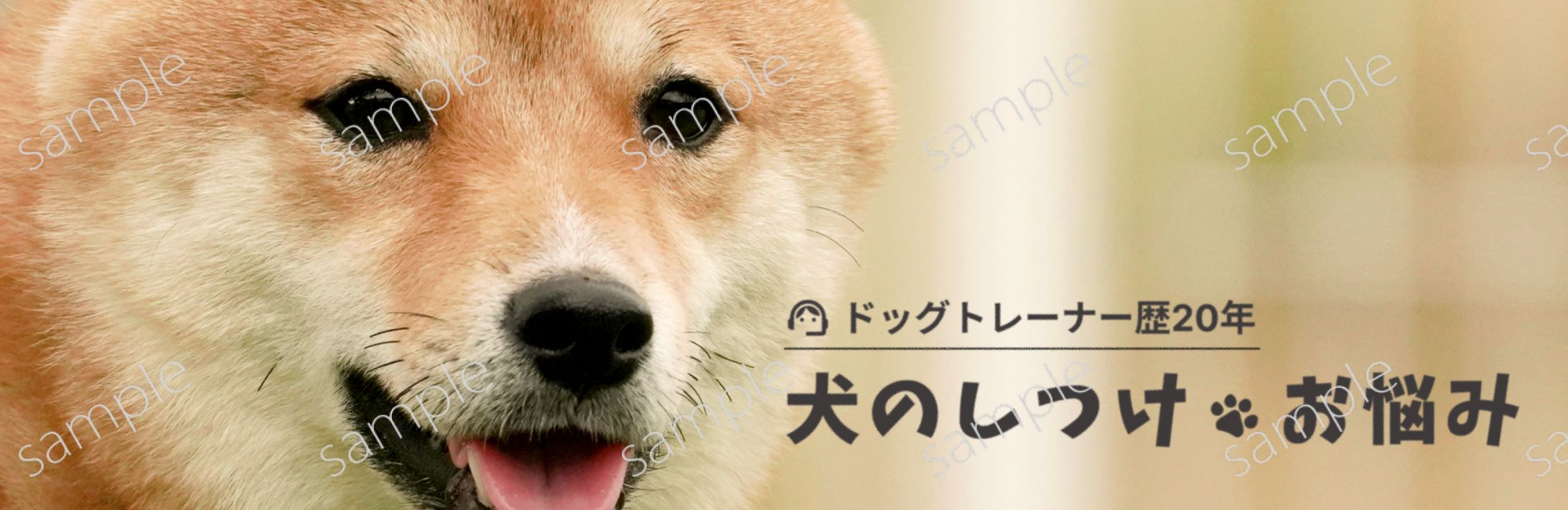 その他sample[ヘッダー]-1