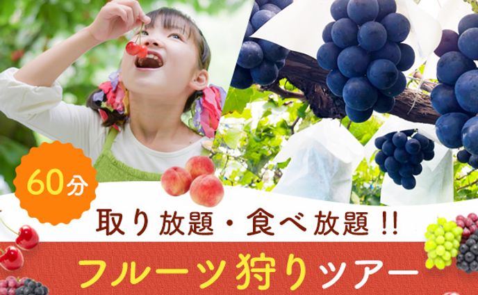 バナー：フルーツ狩りの広告バナー
