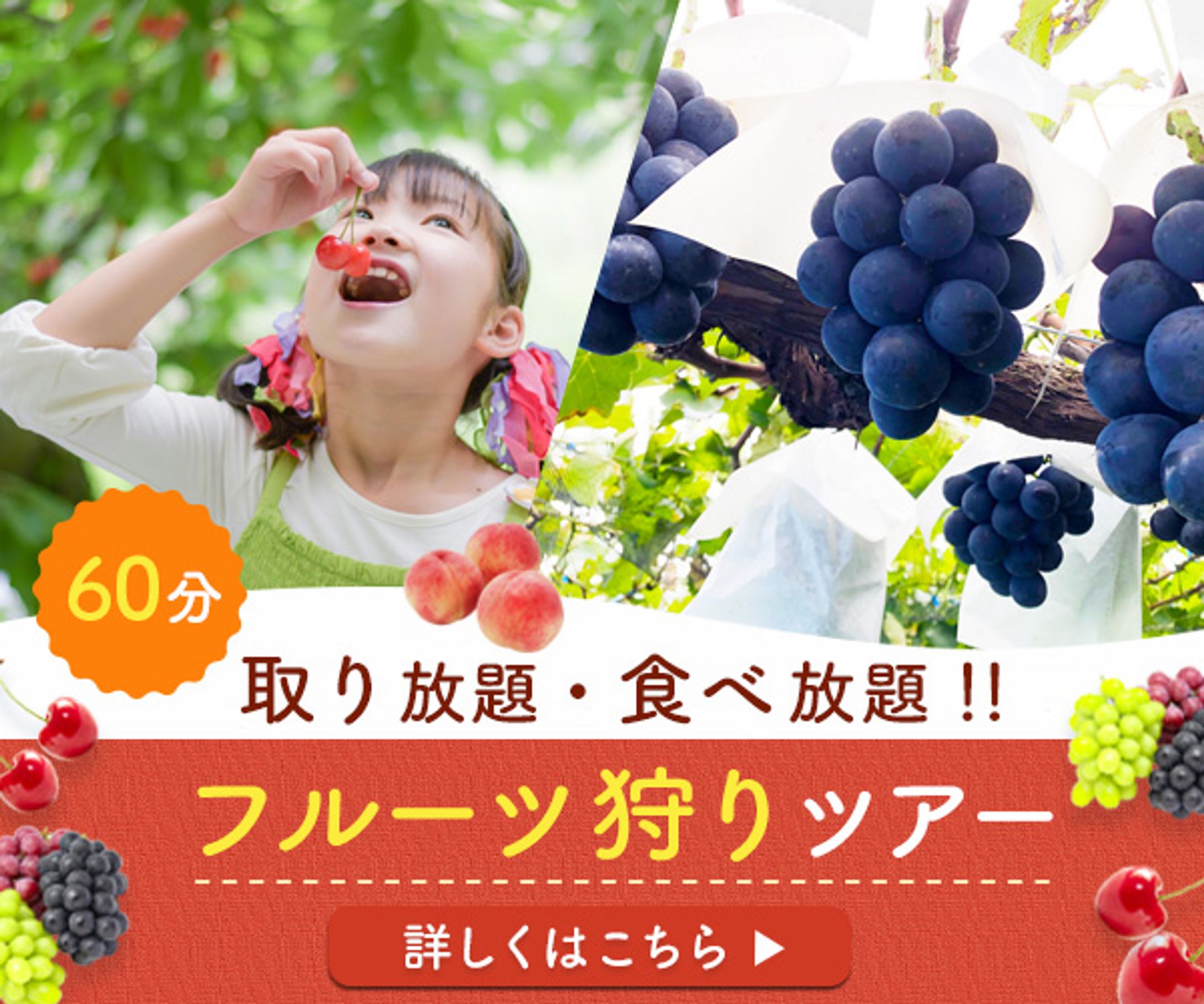 バナー：フルーツ狩りの広告バナー-1