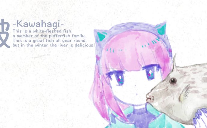 カワハギ 敷紙