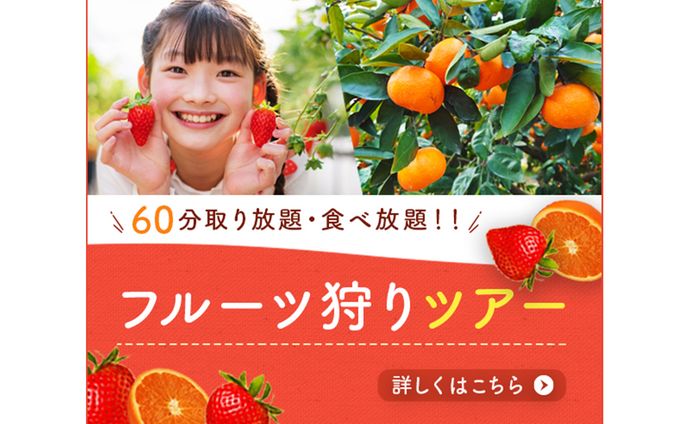 フルーツ狩りバナー(600×500)