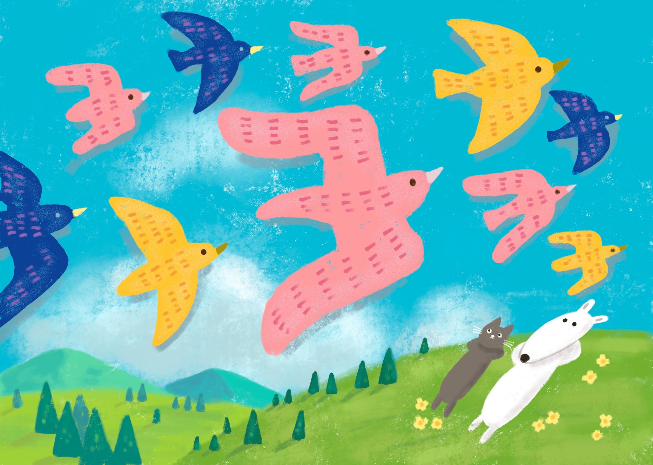 birds.-1