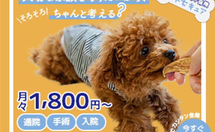 ペット保険広告の架空バナー