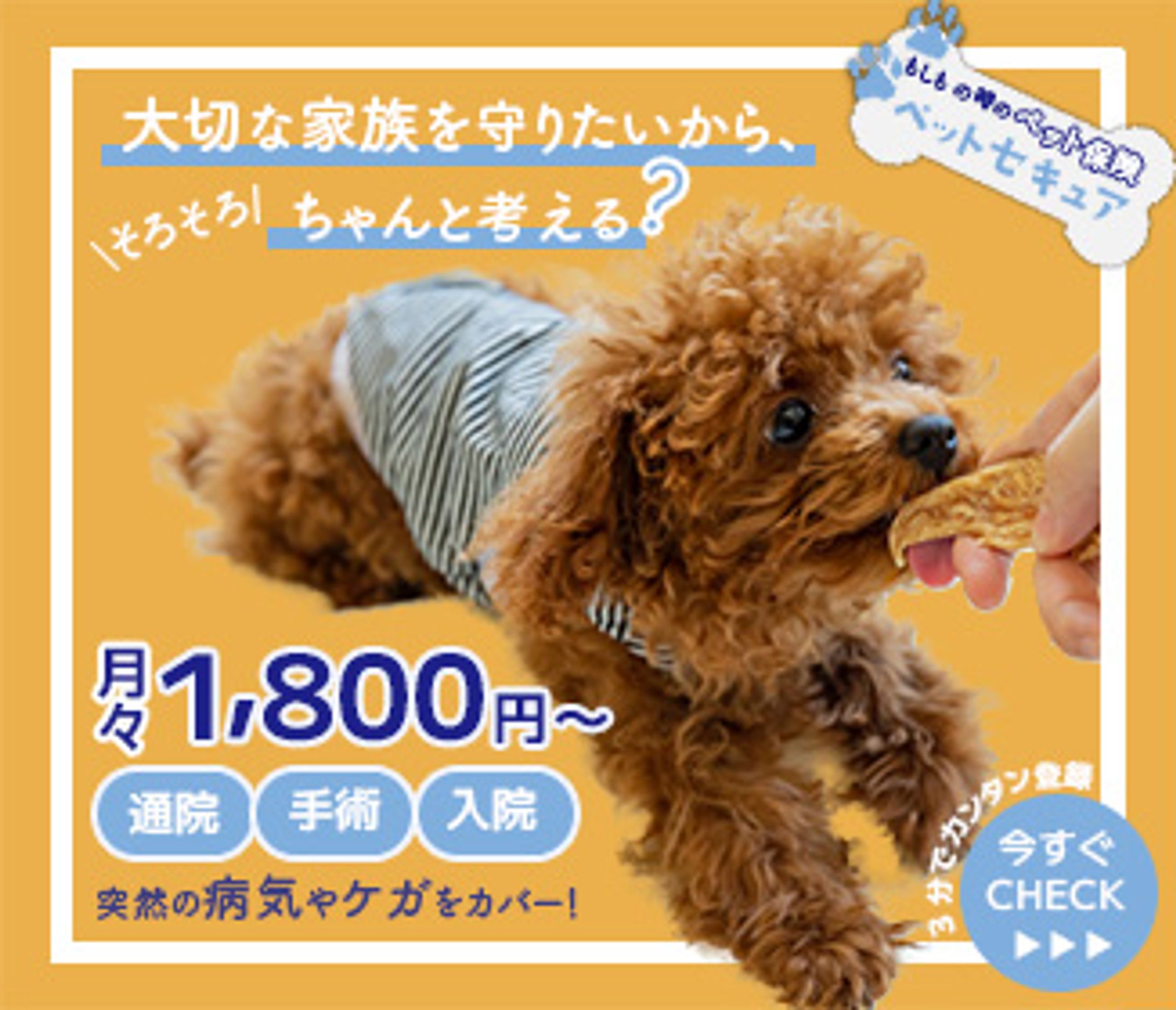 ペット保険広告の架空バナー-1