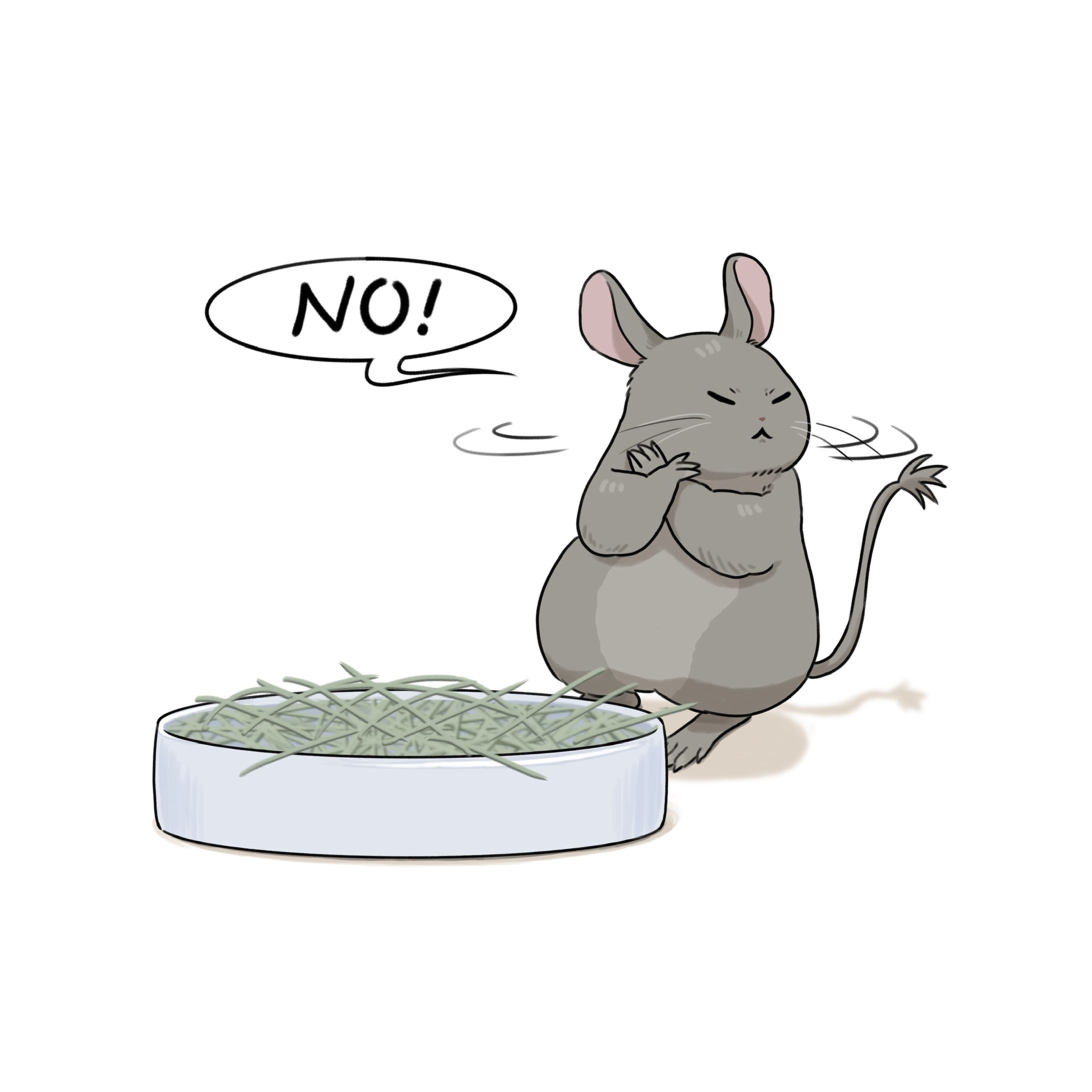 💼生き物イラスト(デグー)-1