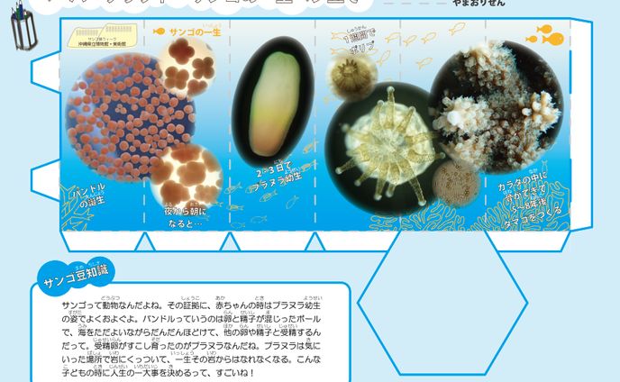 ワークシート教材