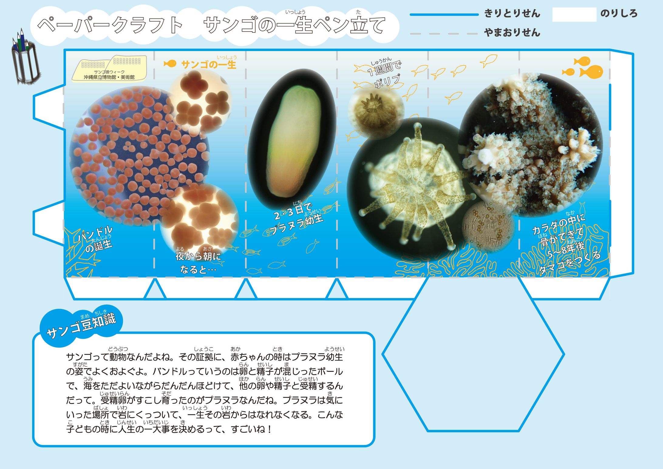 ワークシート教材-1
