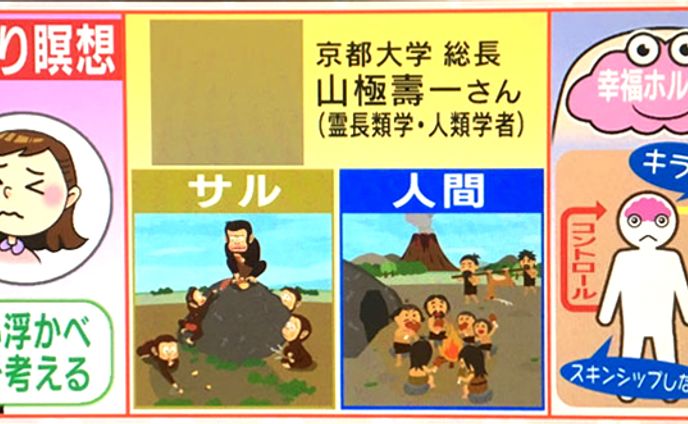 NHK ニュースシブ５時