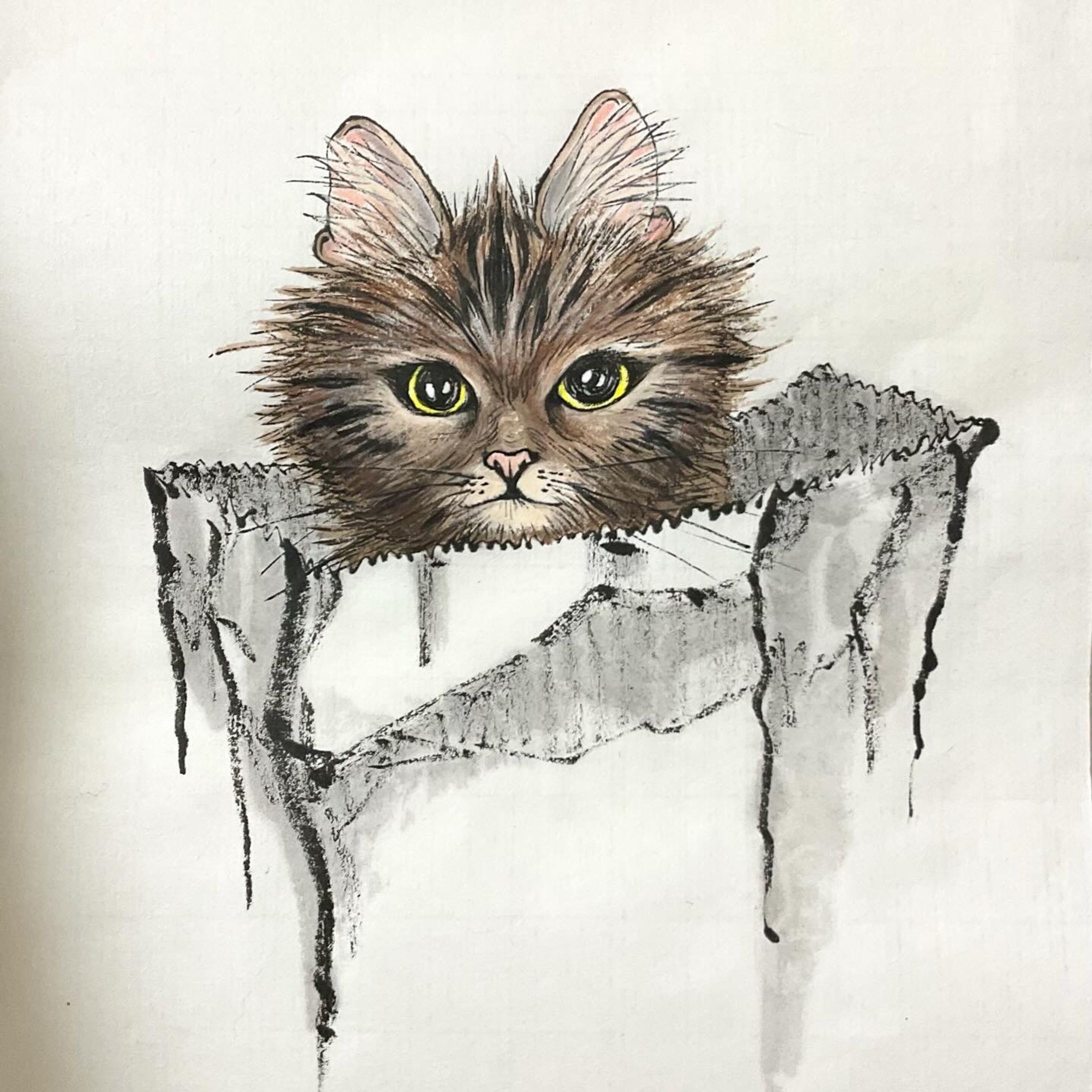 紙袋の中の子猫-1