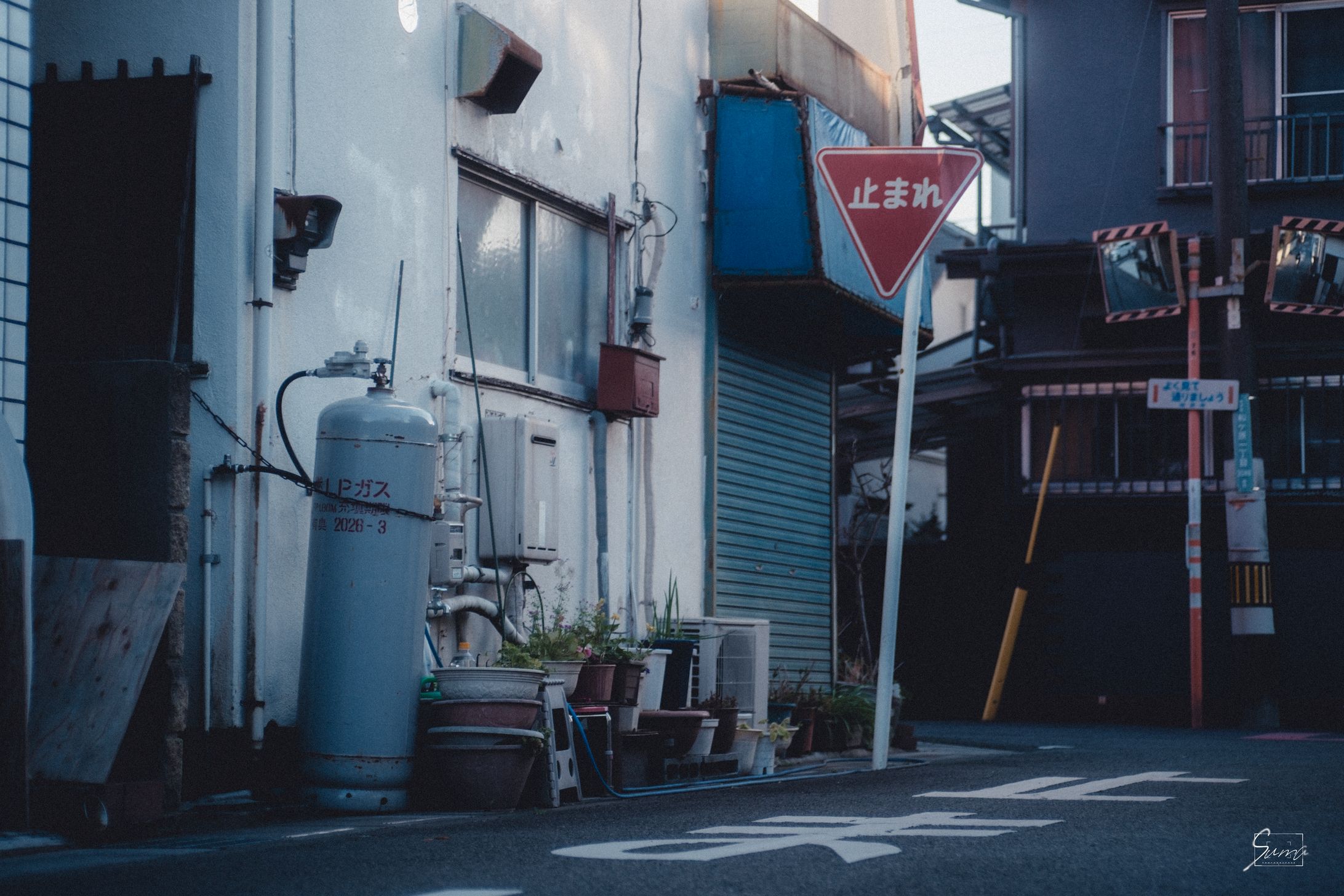 Street Snap-1