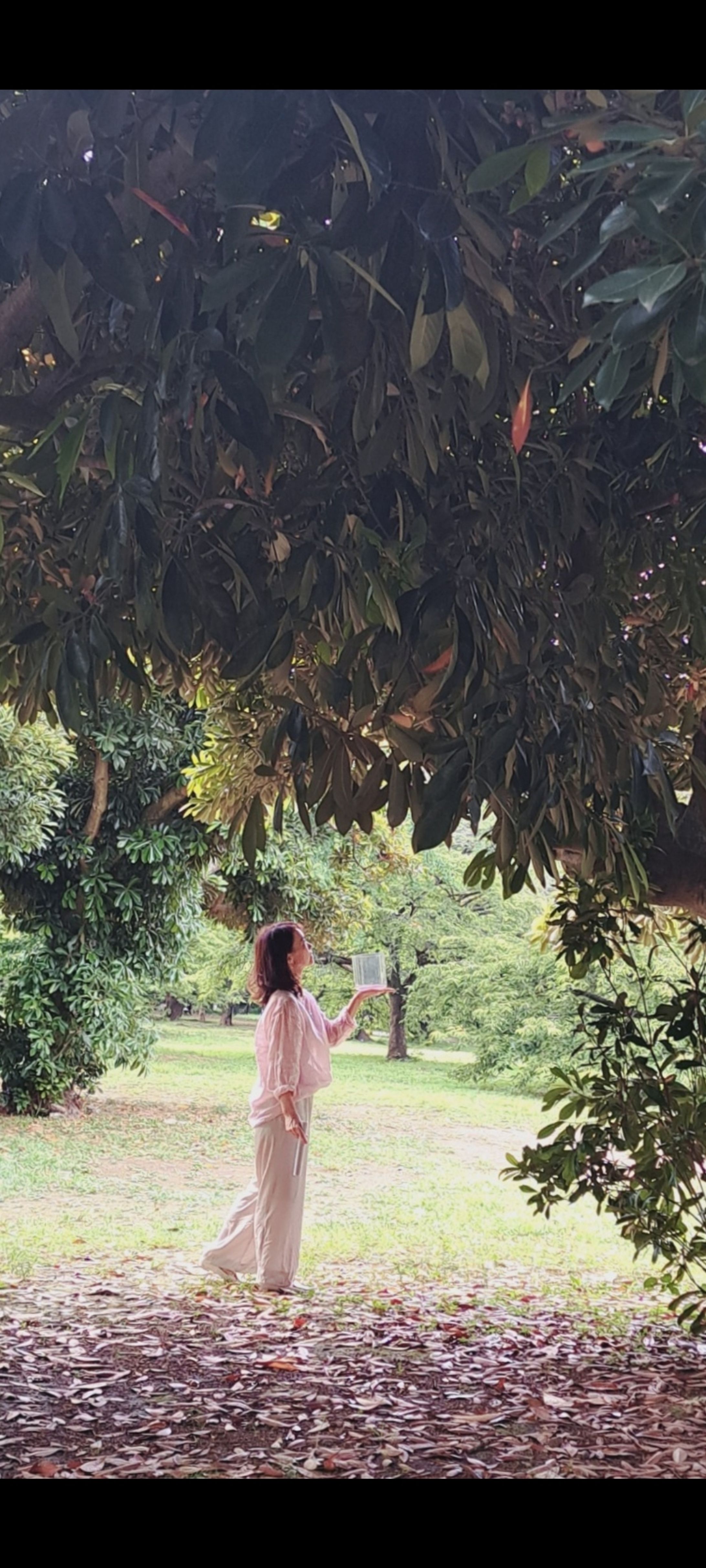 森が聴いている-1