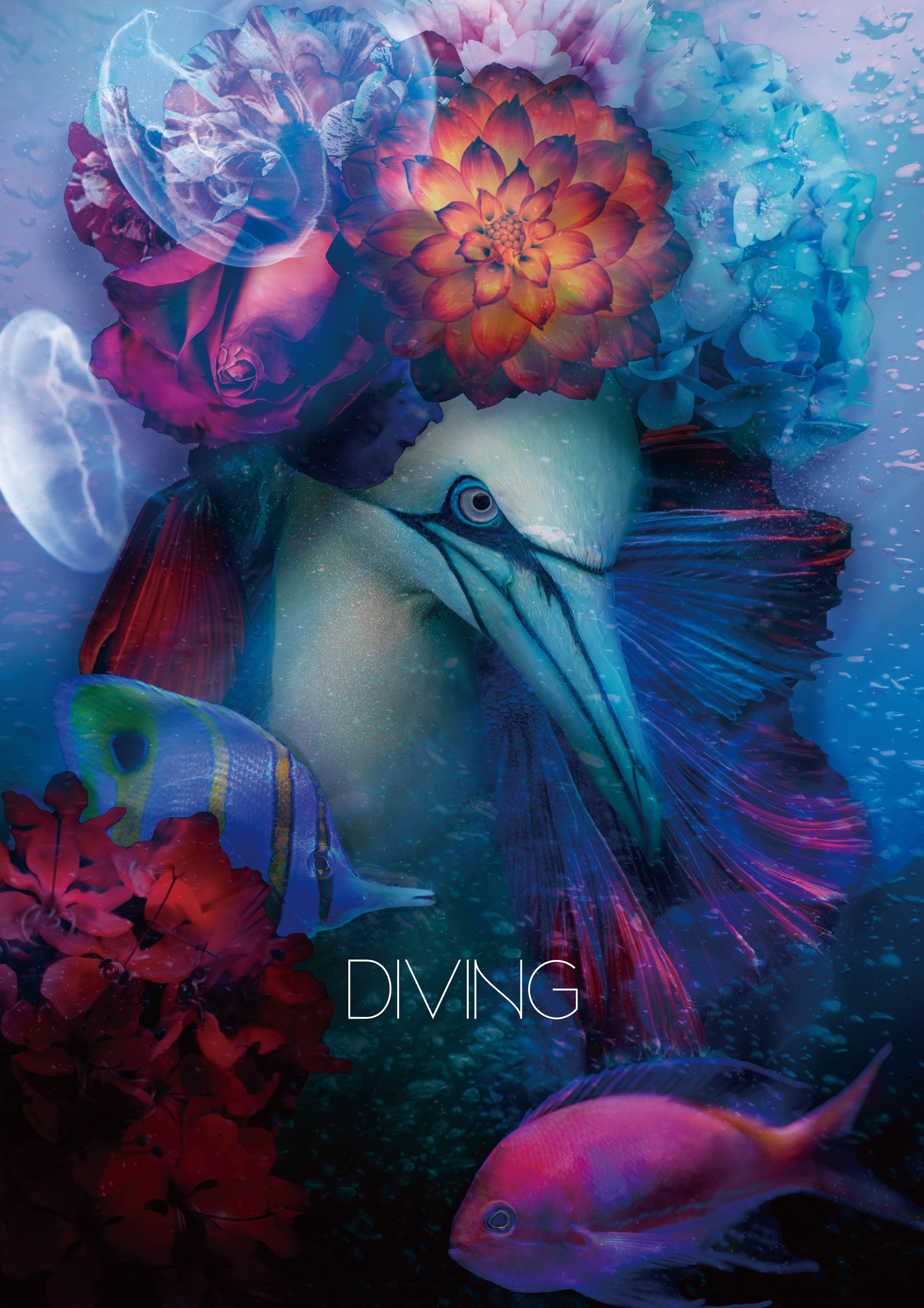 DIVING/コラージュ-1