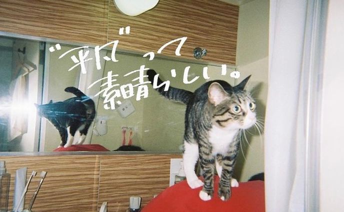 film.