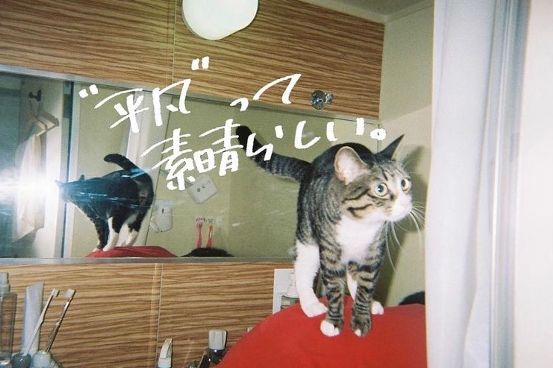 film.-1
