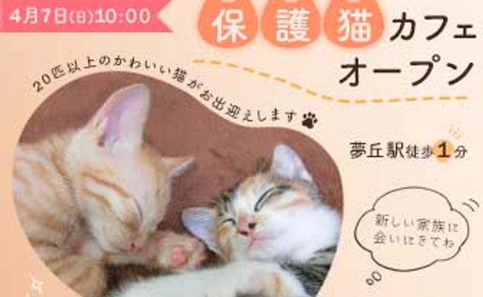 【架空案件】