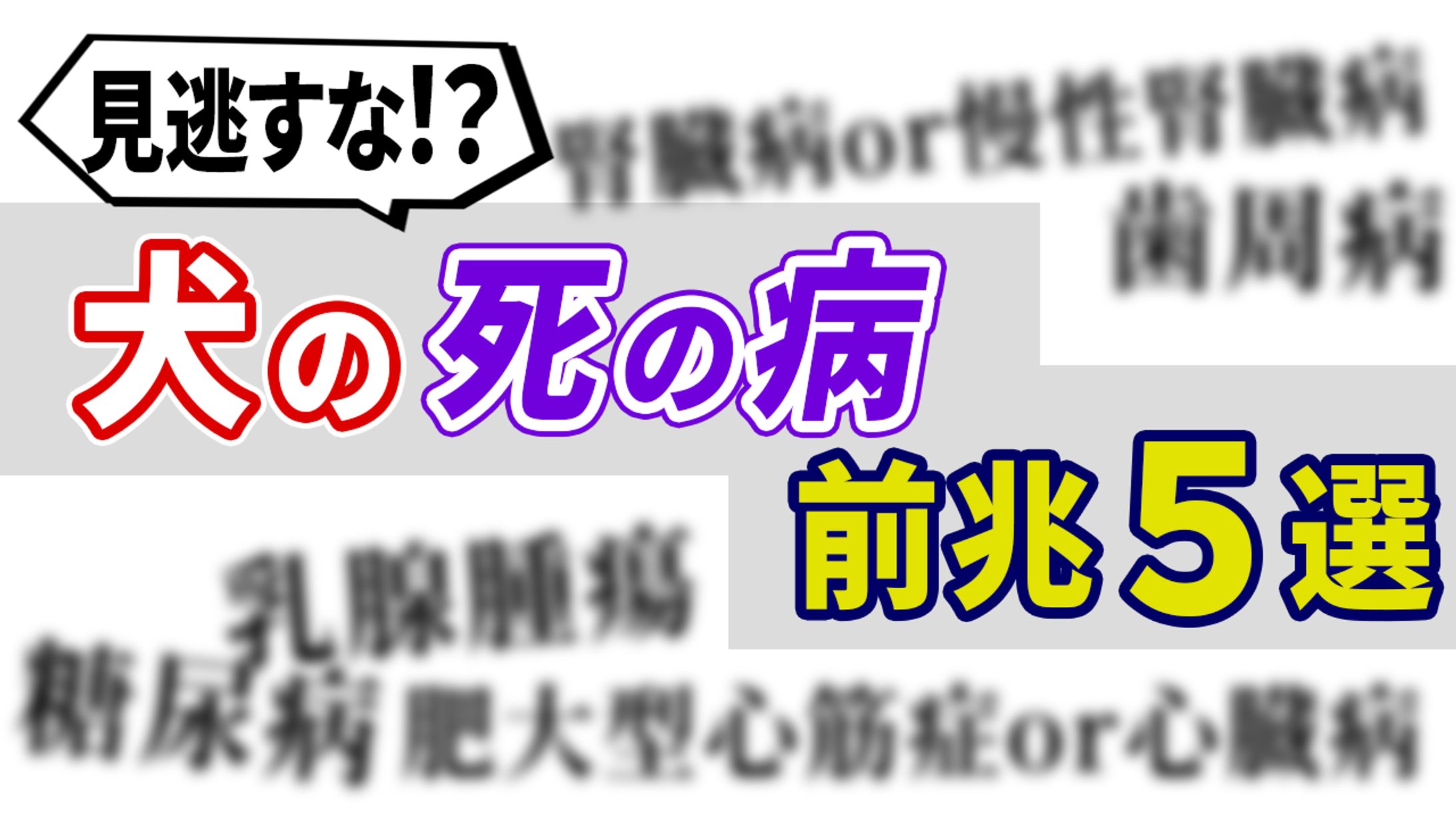 犬の病気（サムネ）-1