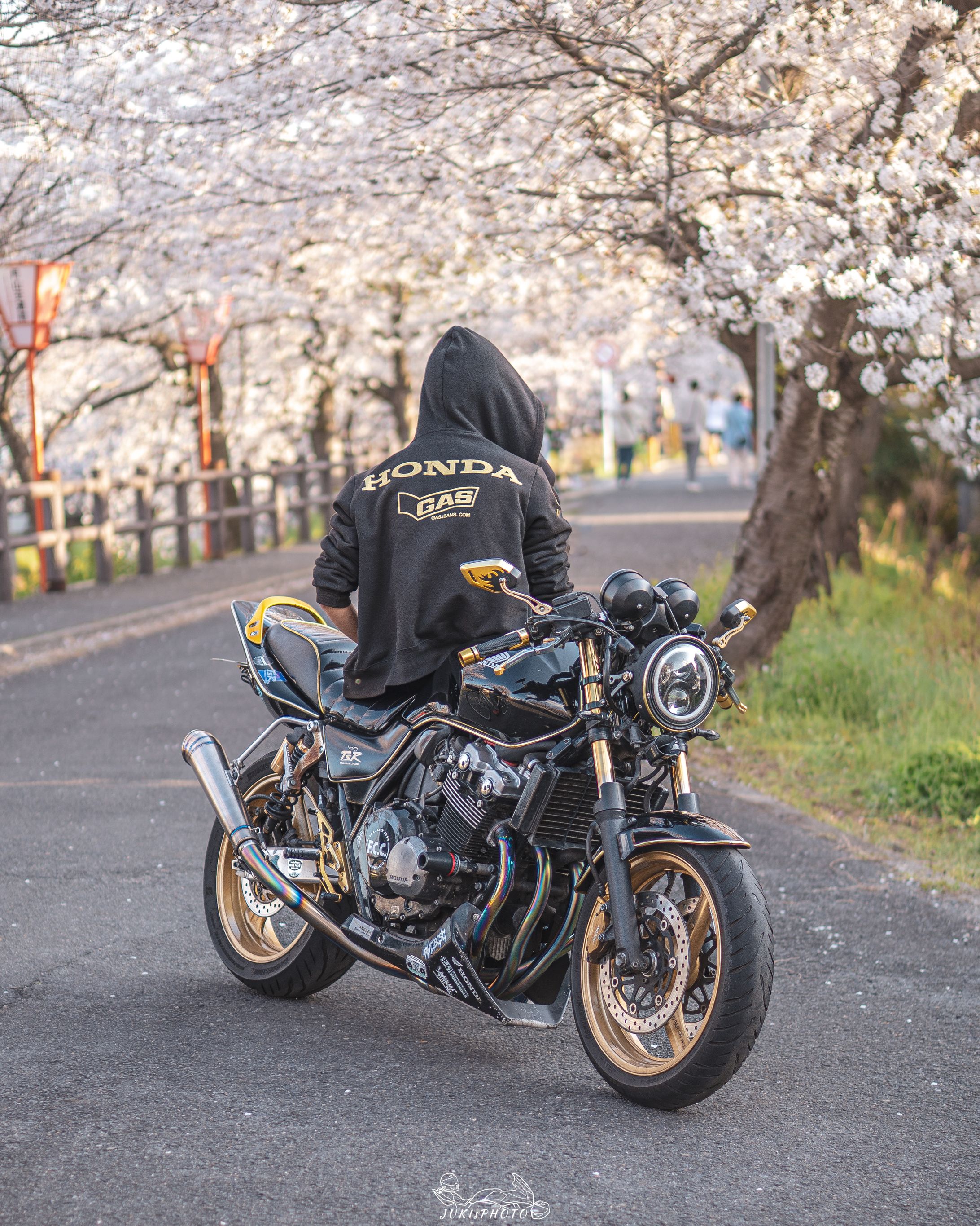 高田千本桜-1
