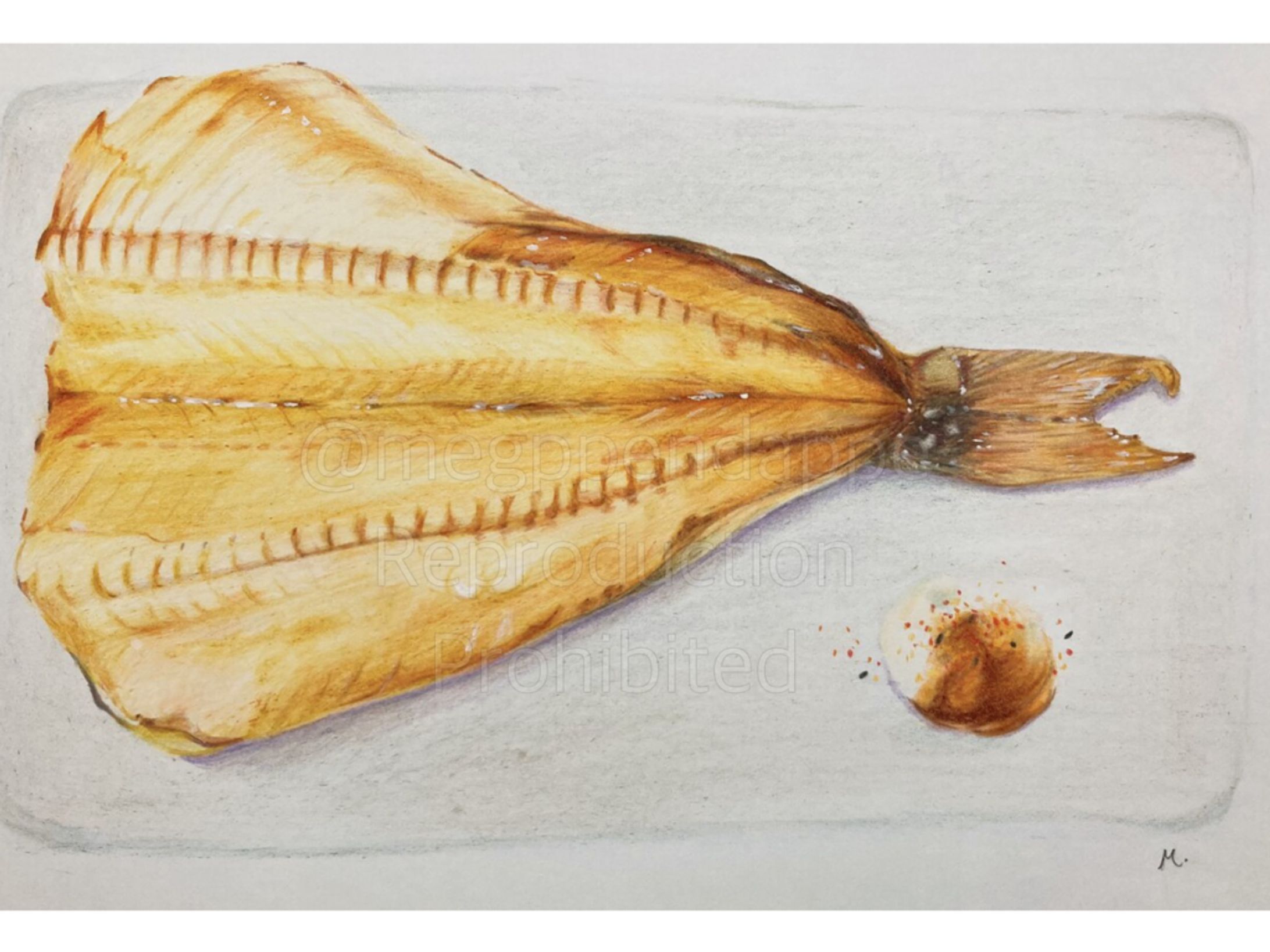 食べ物イラスト-1