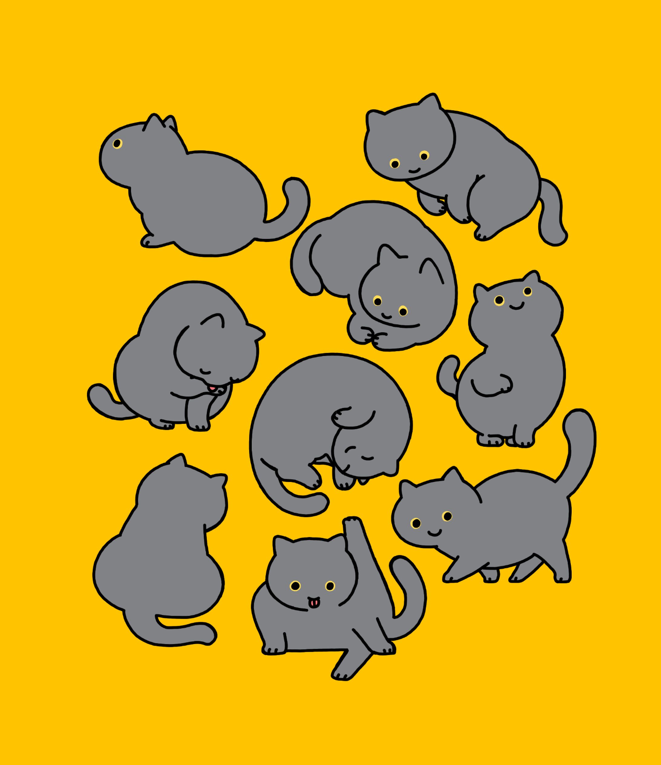 cats-1