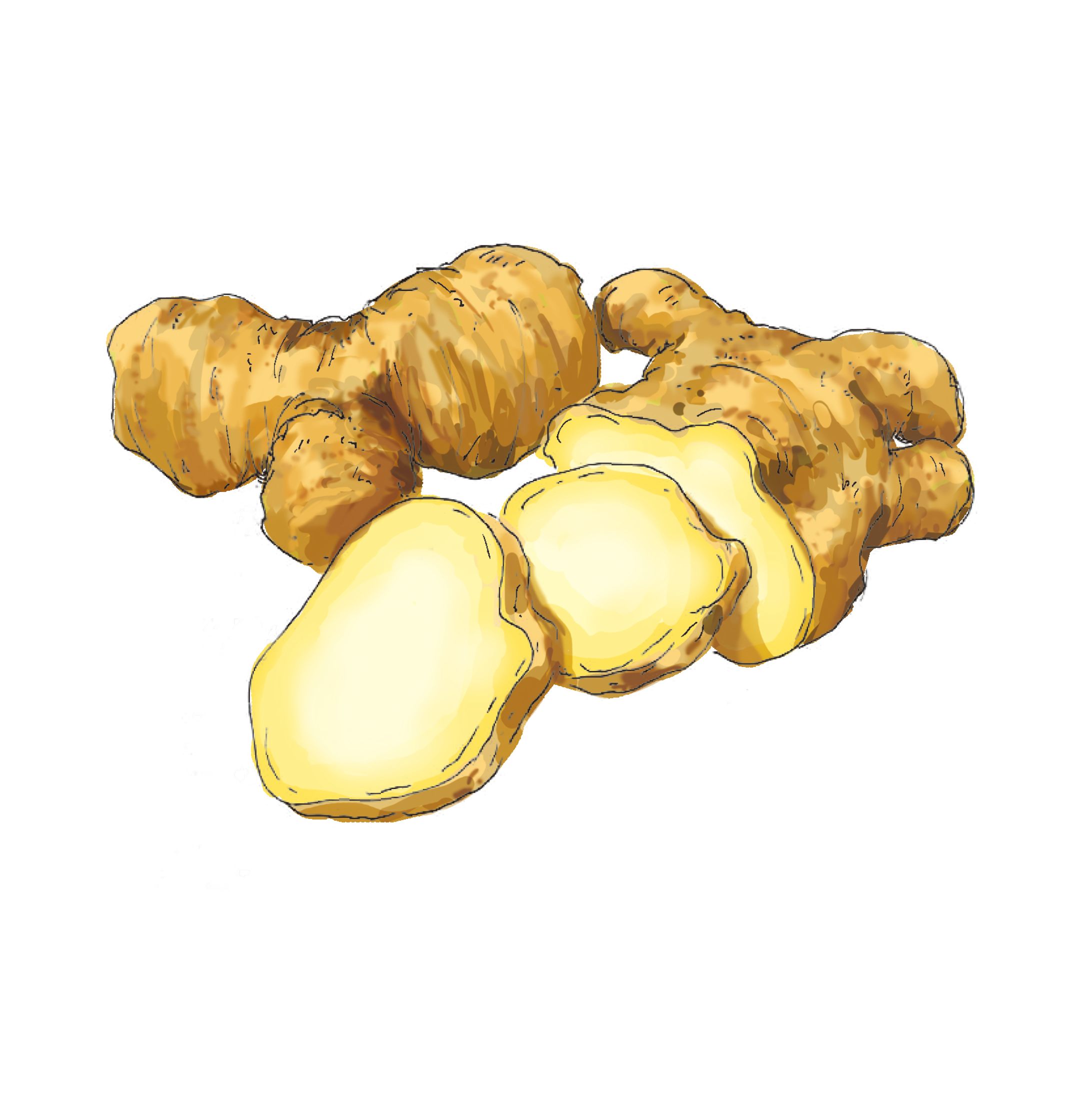 【こんなものも描けます】食材の挿絵イラスト-1