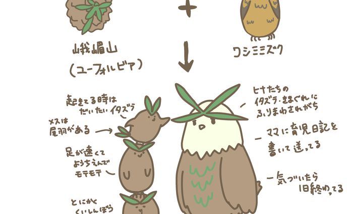 ユーフォルビア峨嵋山✕ワシミミズクの親子