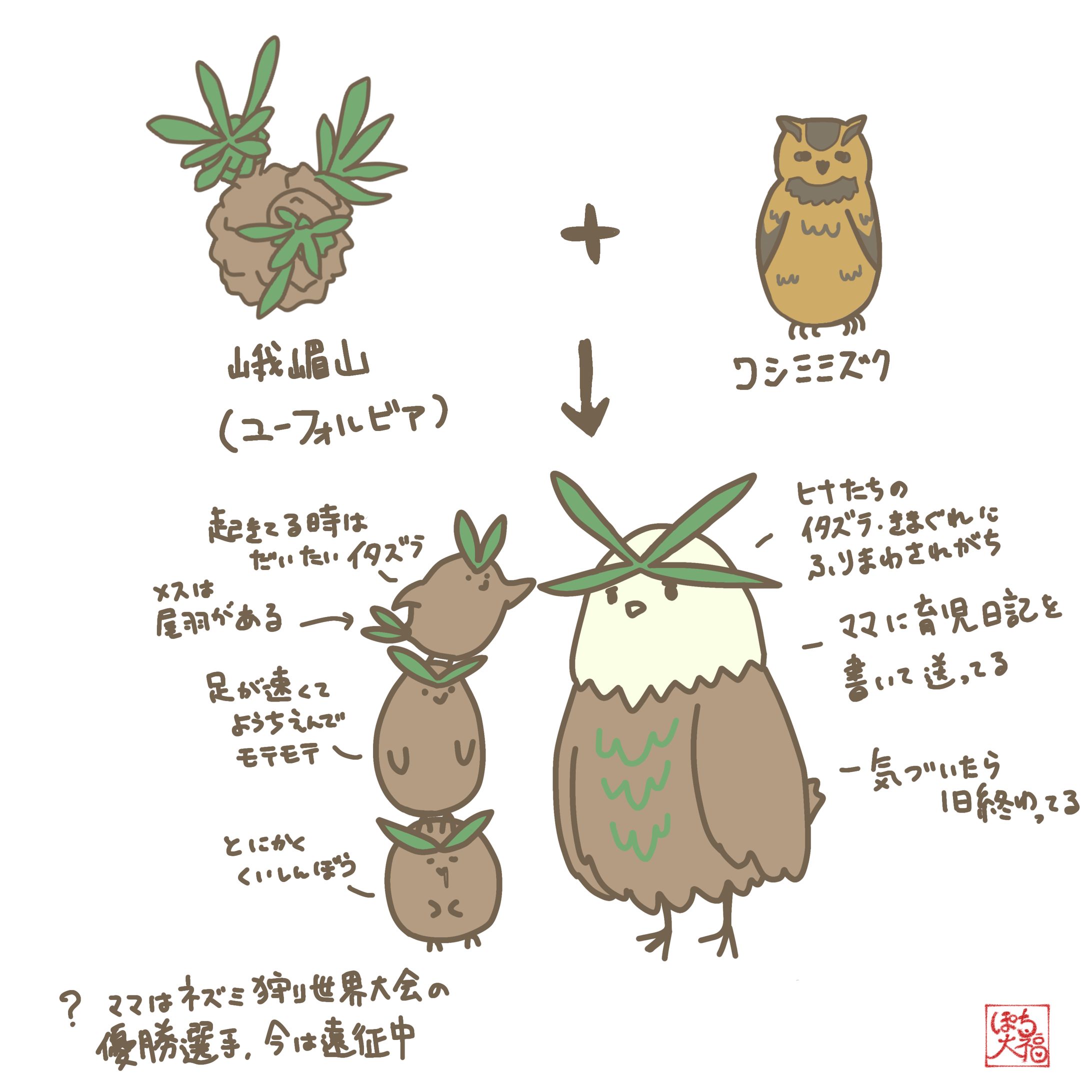 ユーフォルビア峨嵋山✕ワシミミズクの親子-1
