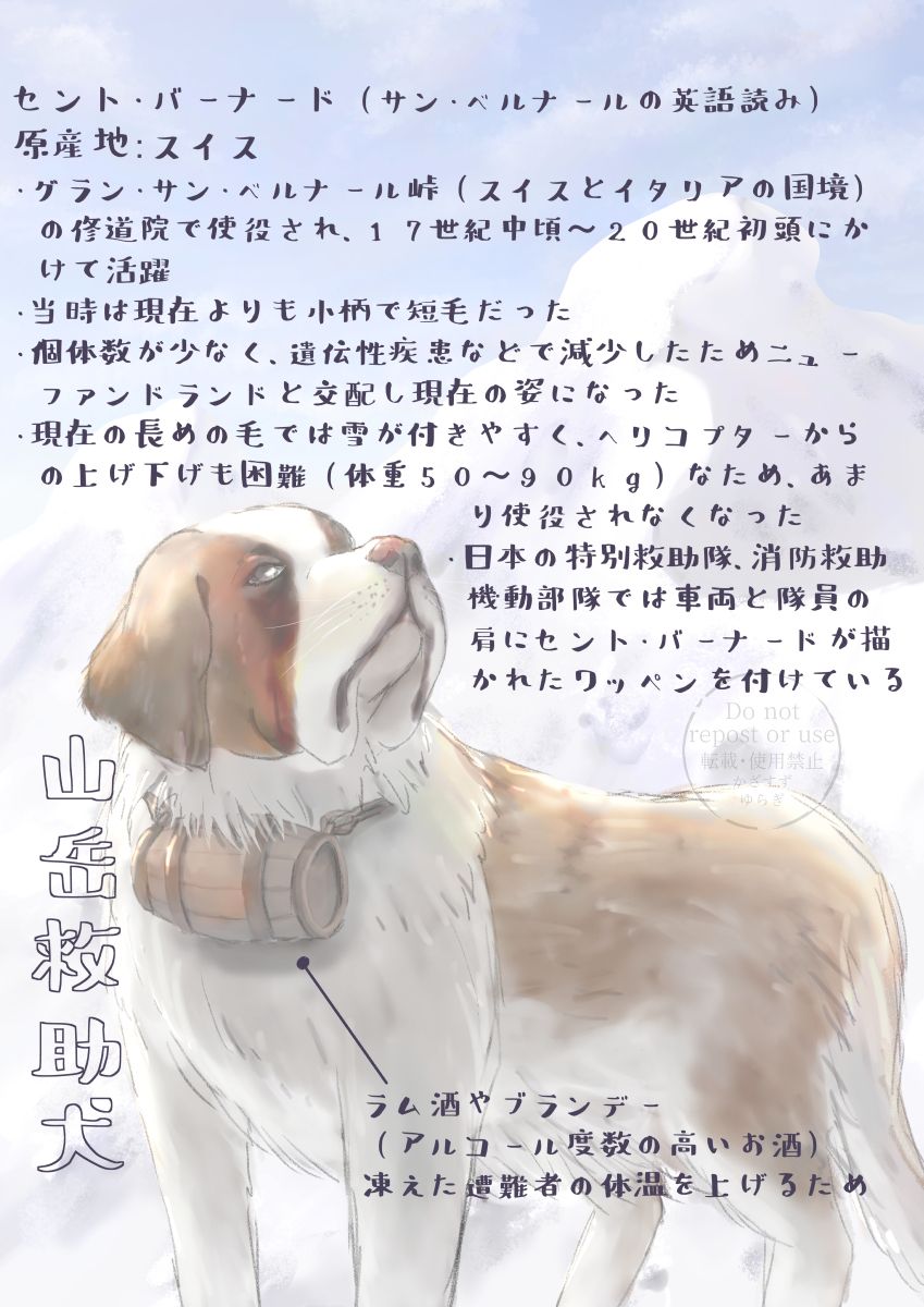 山岳救助犬