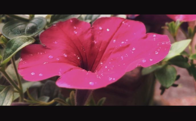 iPhone X Photo