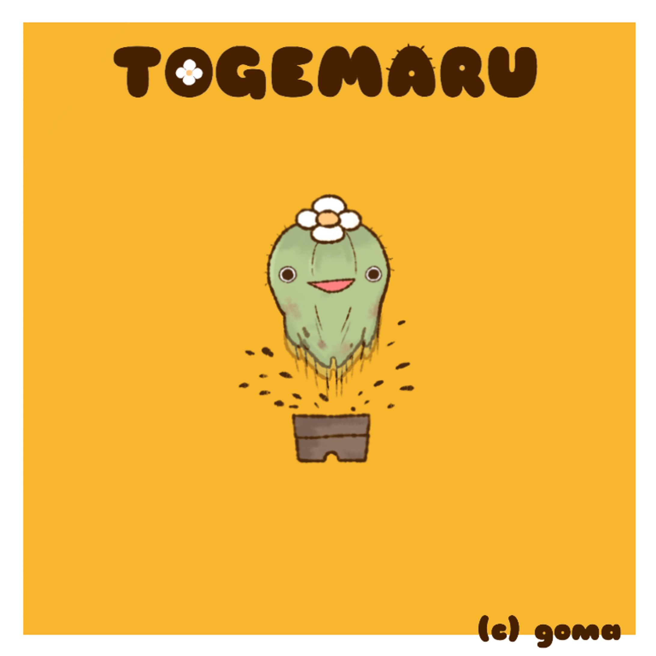 サボテンのとげまる-1