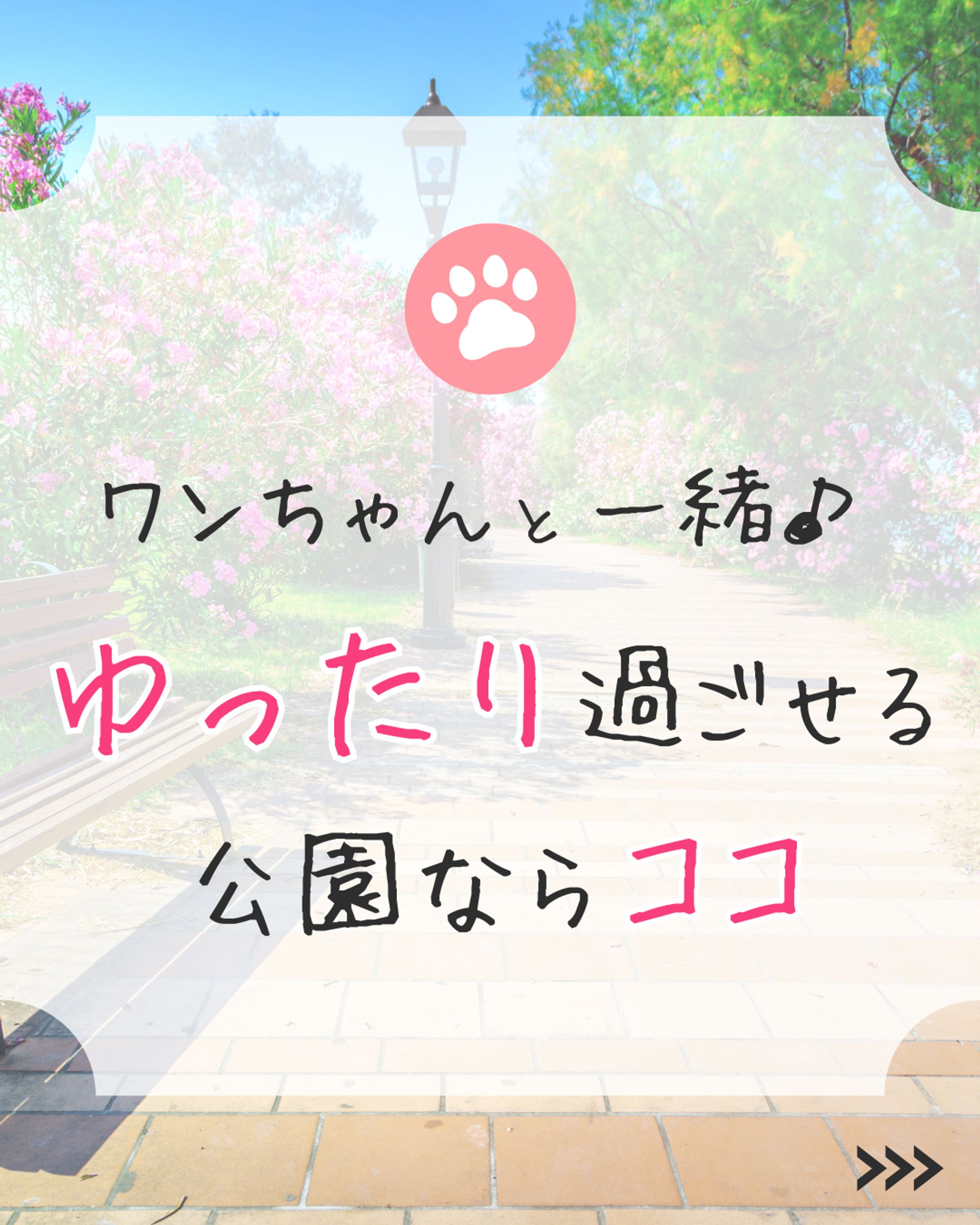 Instagramフィード投稿用表紙-1