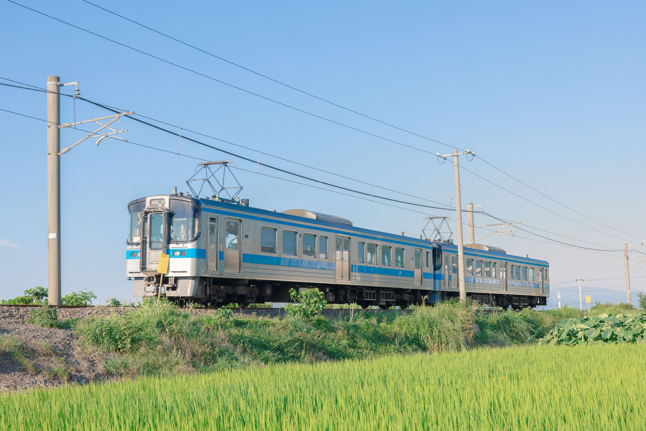 夏-1