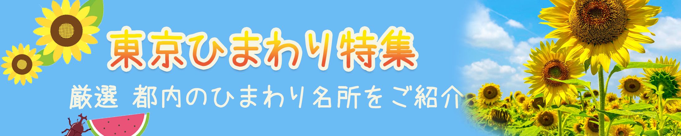 【バナー】ひまわり特集-1