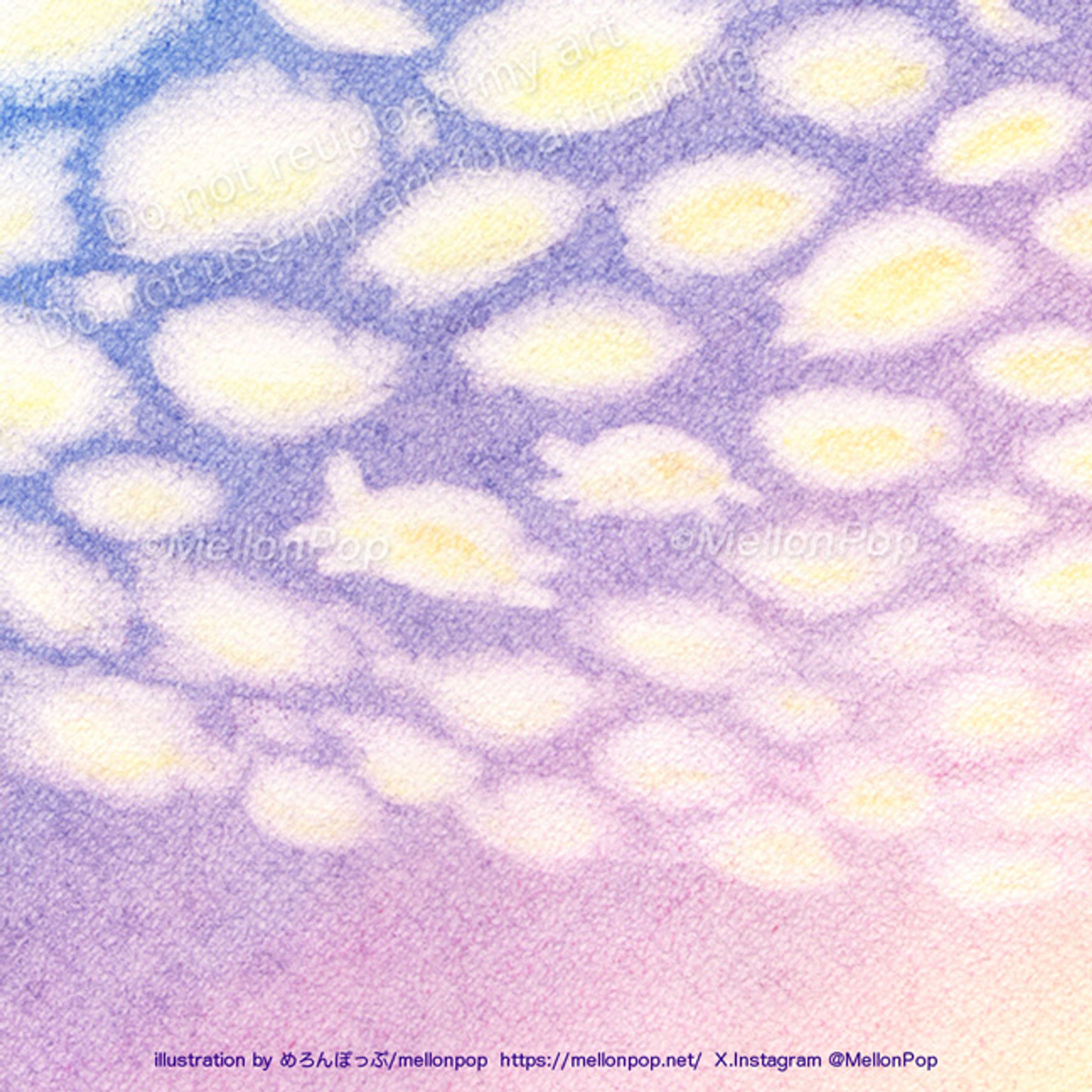 あ、カメみっけ。-1