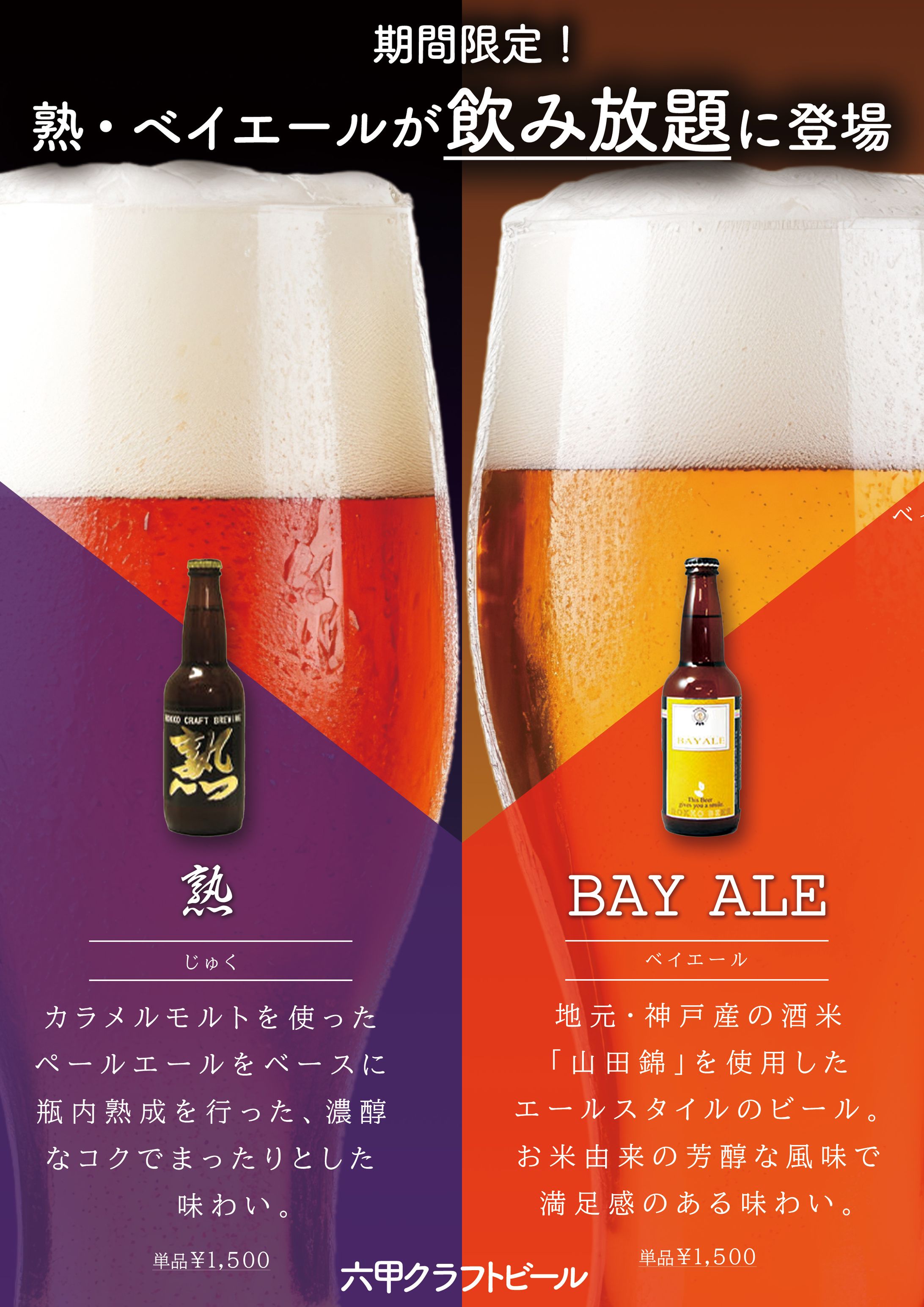 チラシ：期間限定で飲み放題クラフトビール-1