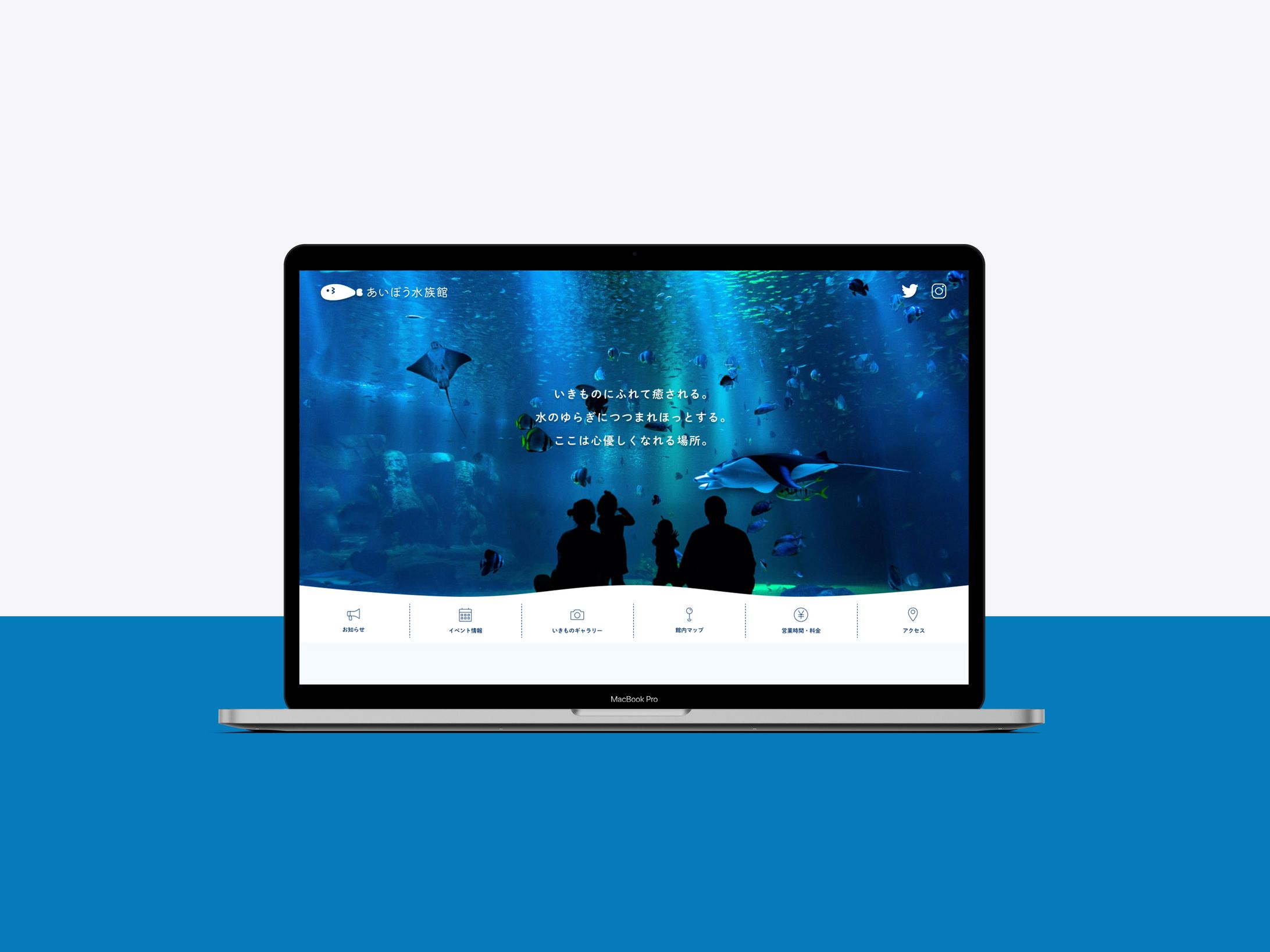Webサイト-1