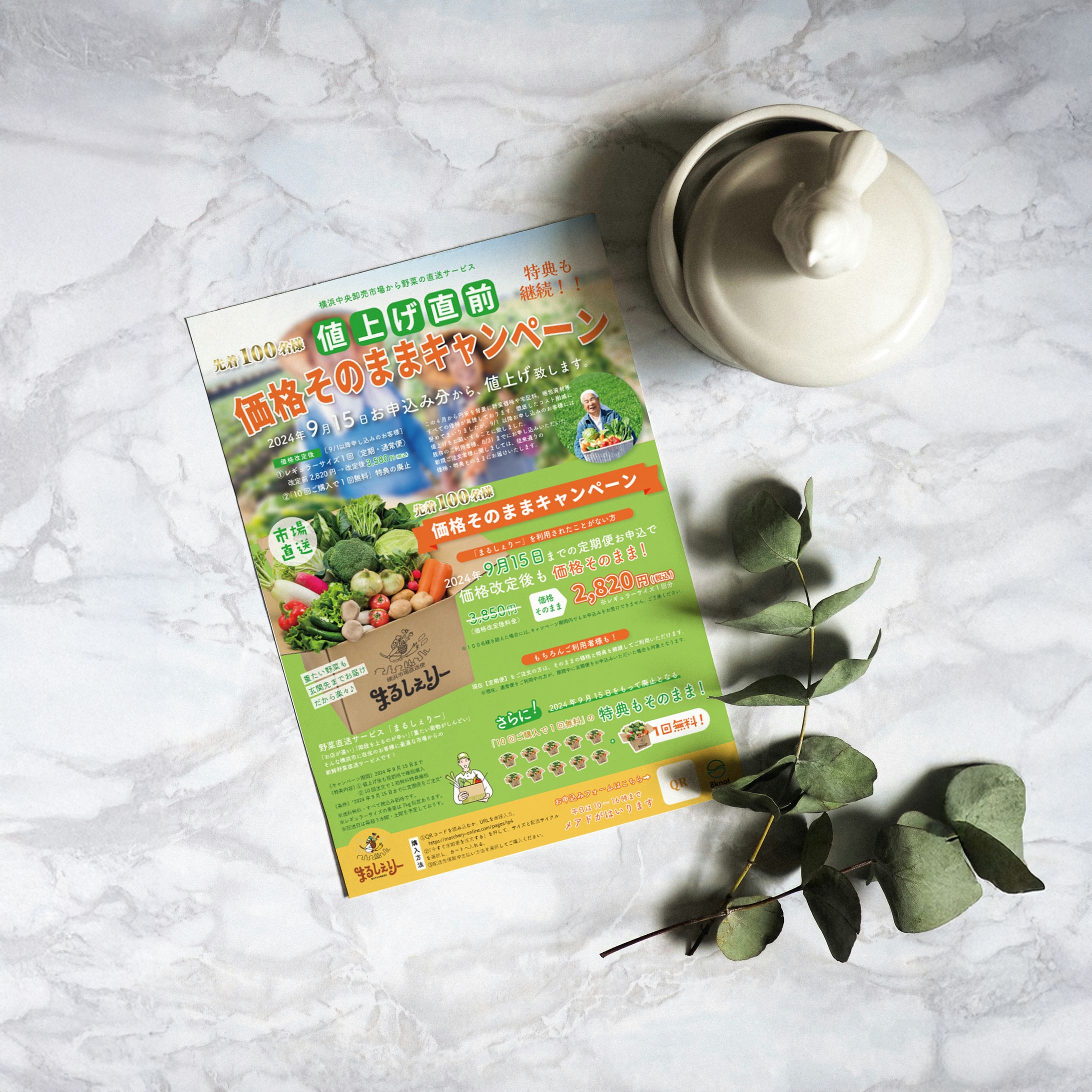 【フライヤー】野菜直送サービス-1