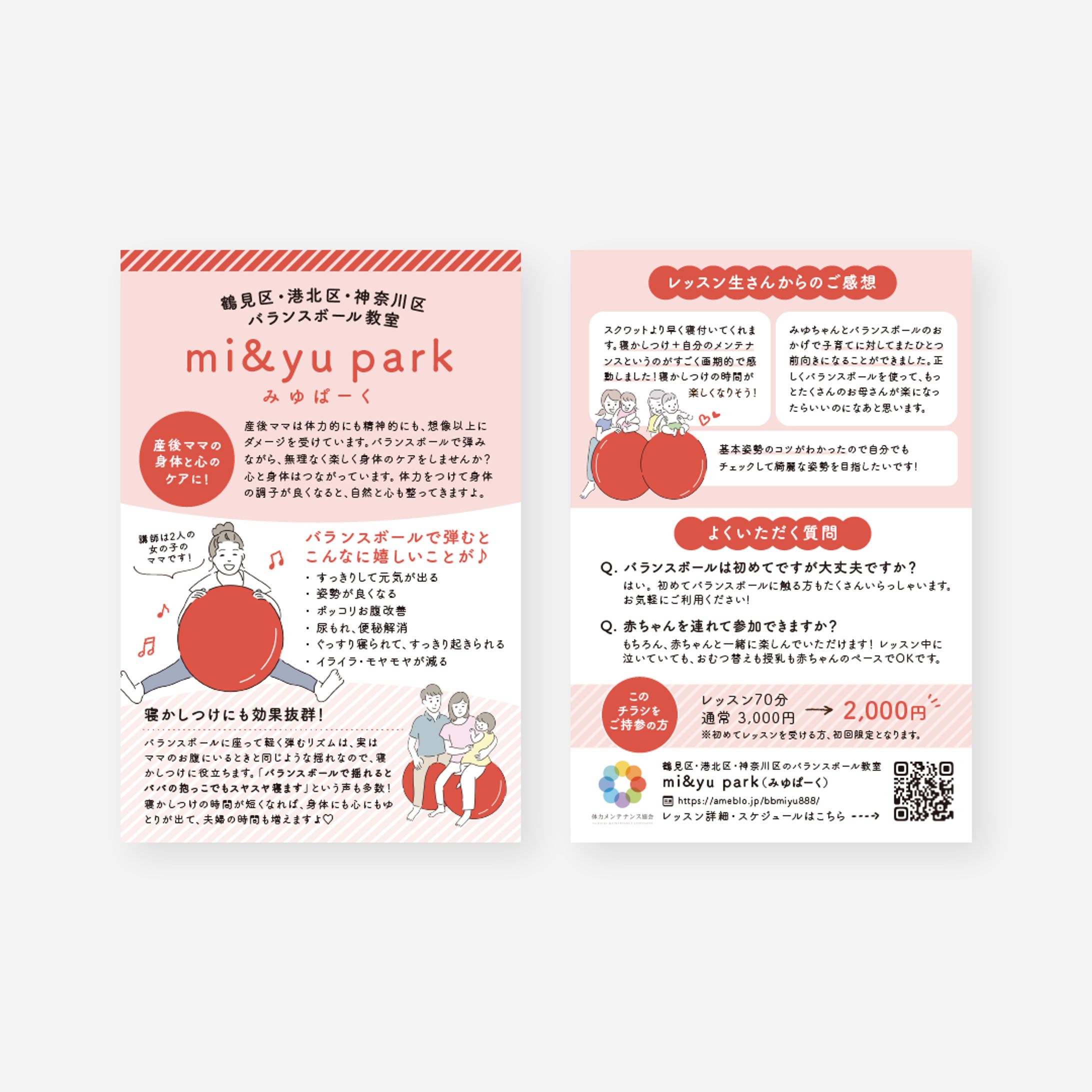 バランスボール教室様 ポスティングDM-1