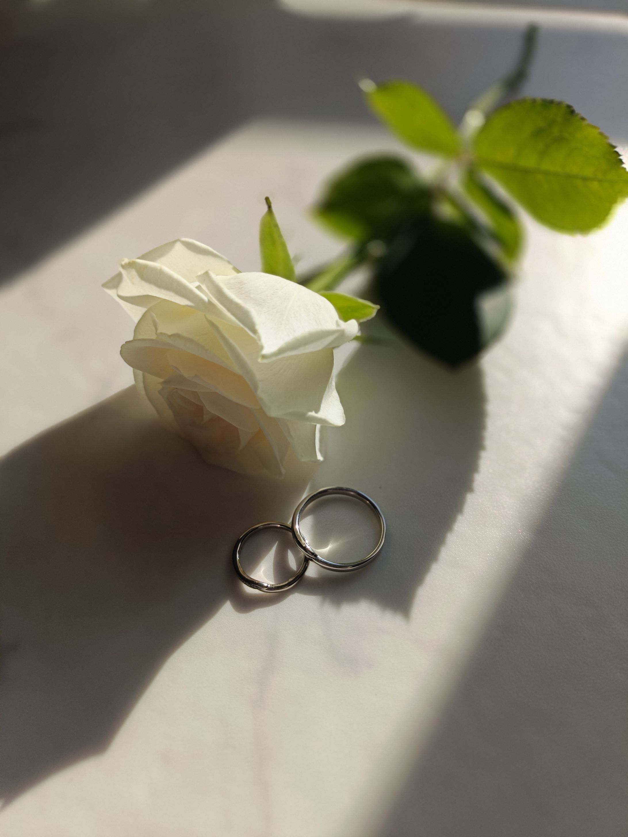 ウェディング指輪撮影-1