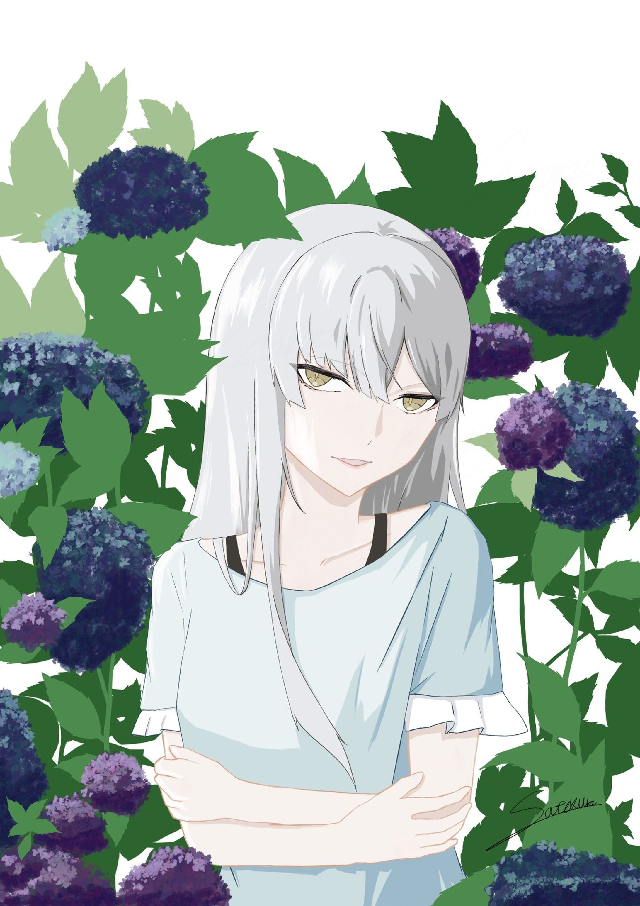 紫陽花-1